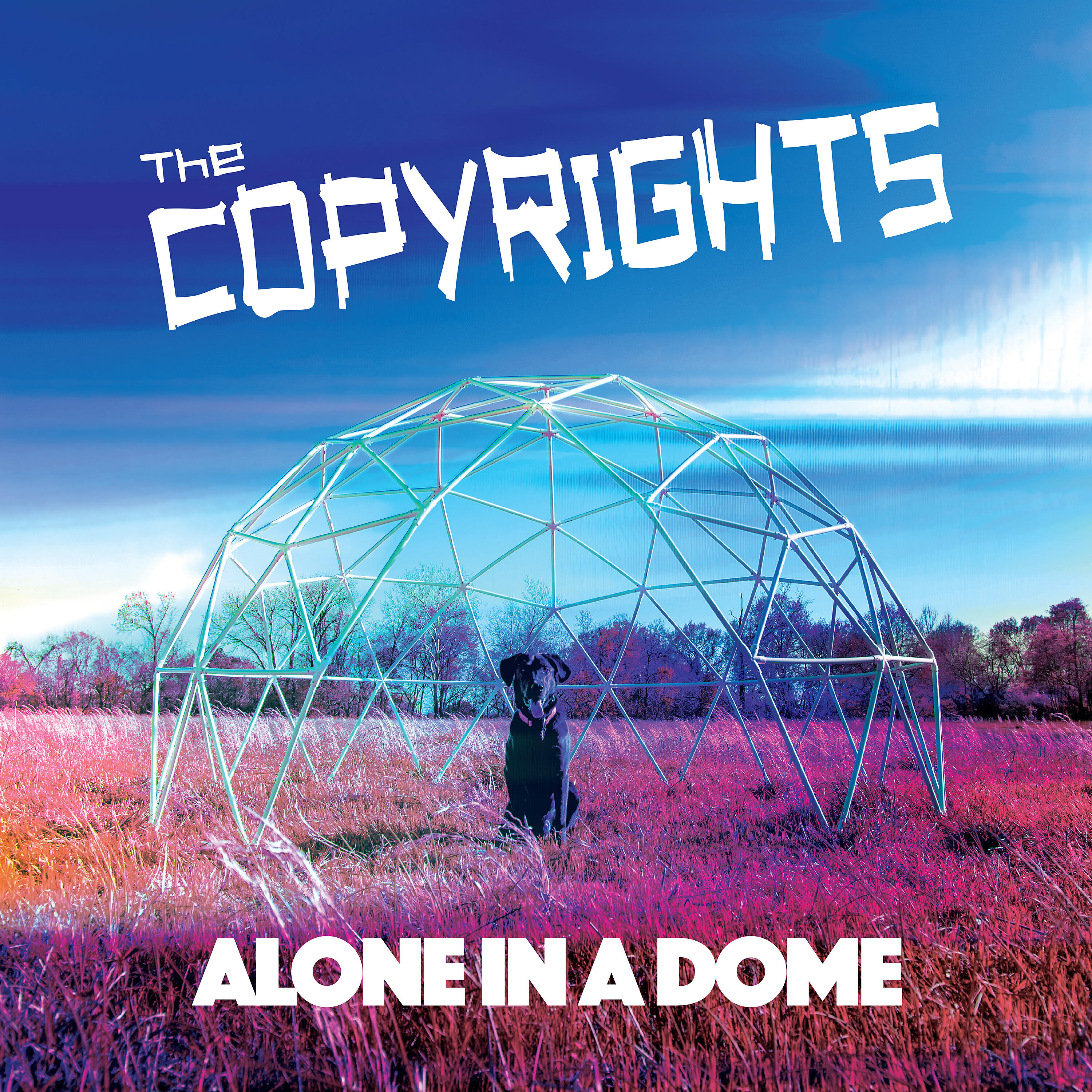 Релиз Alone in a Dome