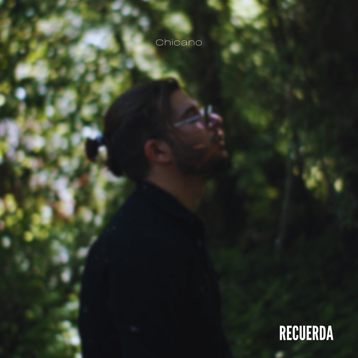 Релиз Recuerda