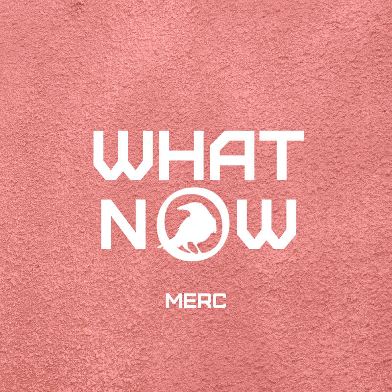 Релиз WHATNOW