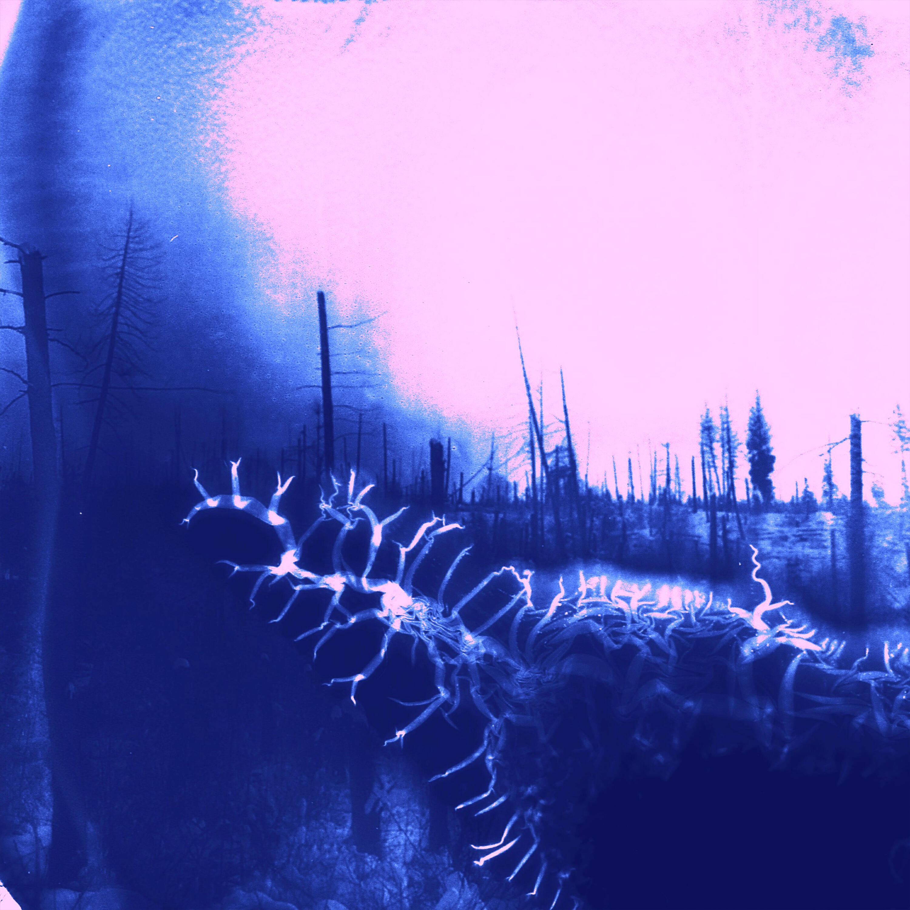 Релиз Agony