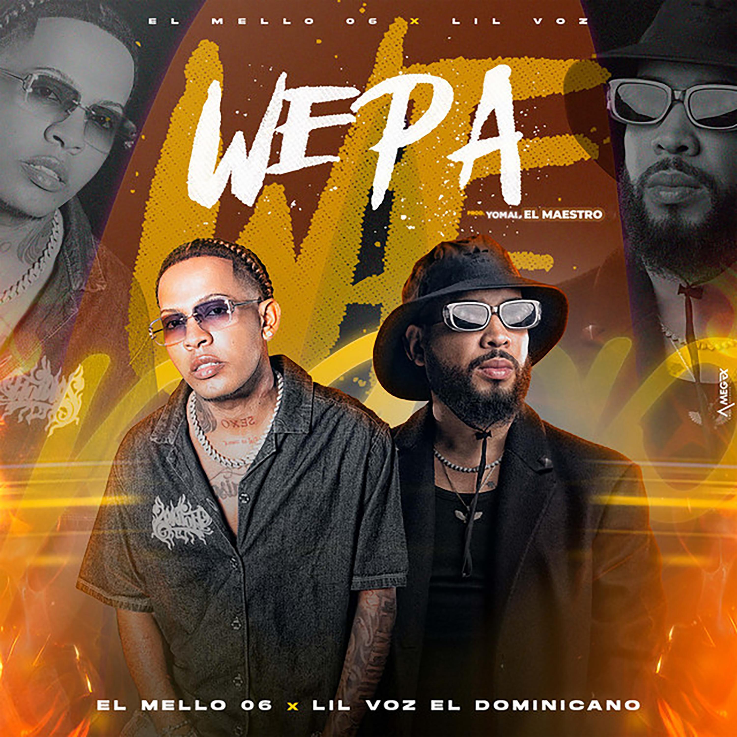 Релиз WEPA