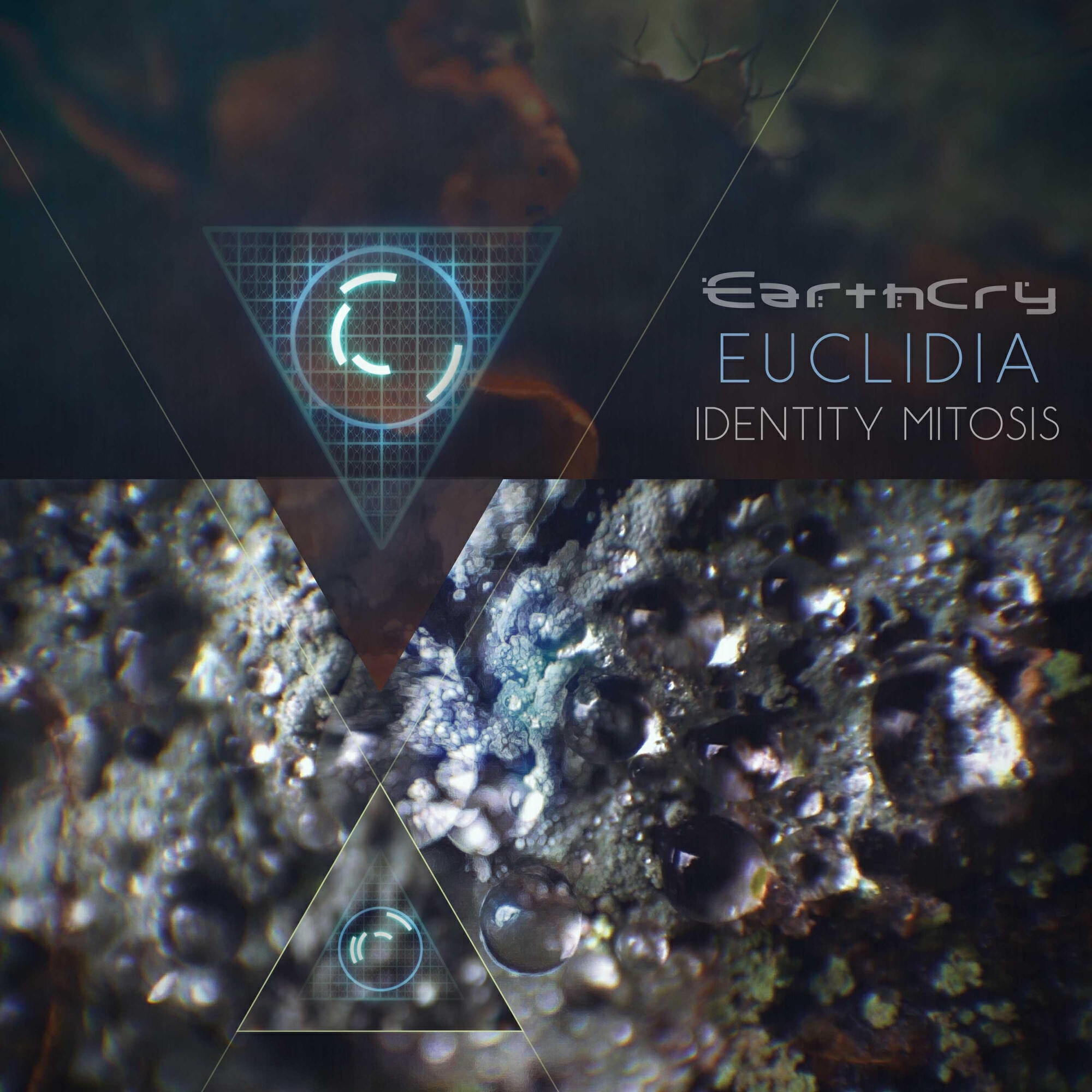 Релиз Euclidia