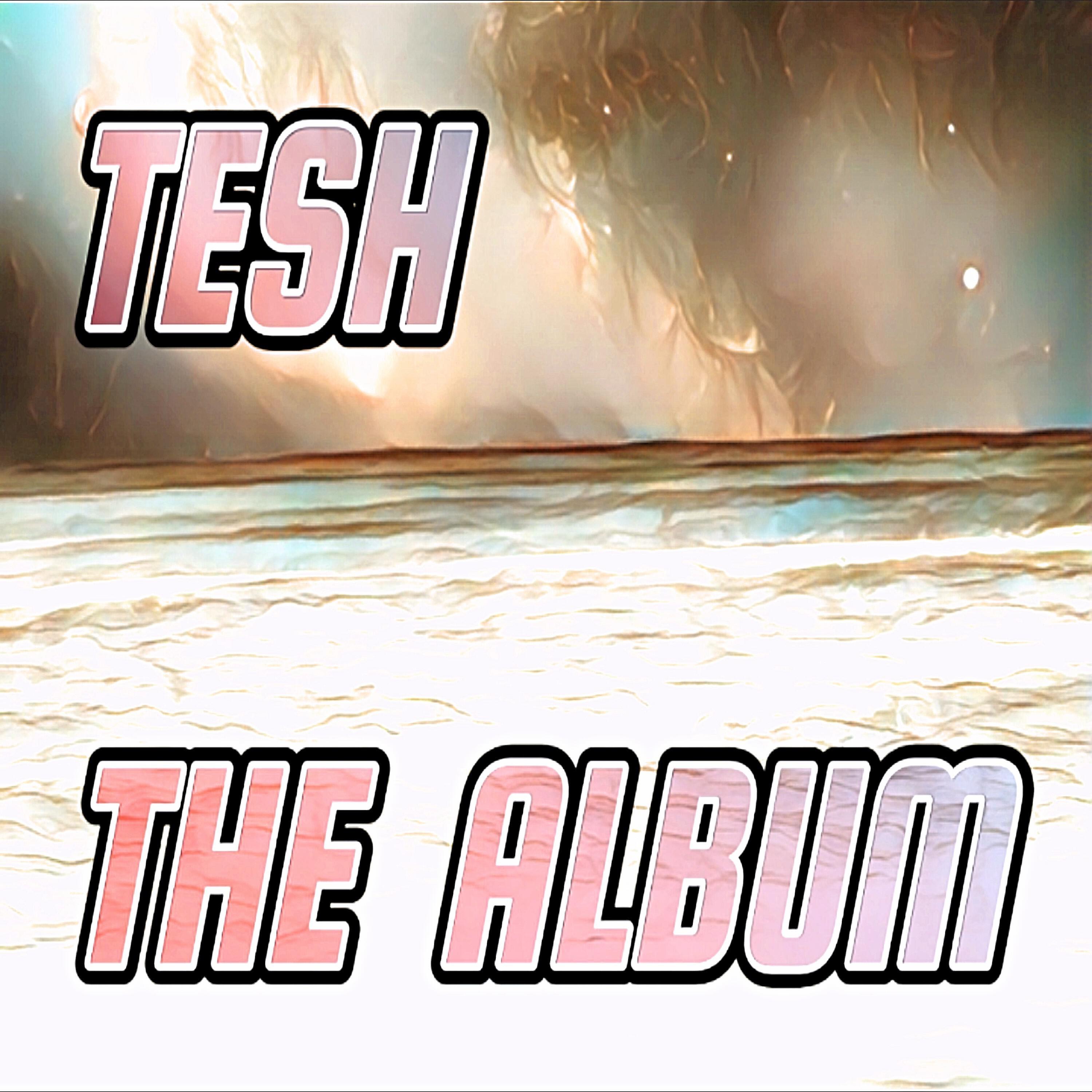 Релиз The Album