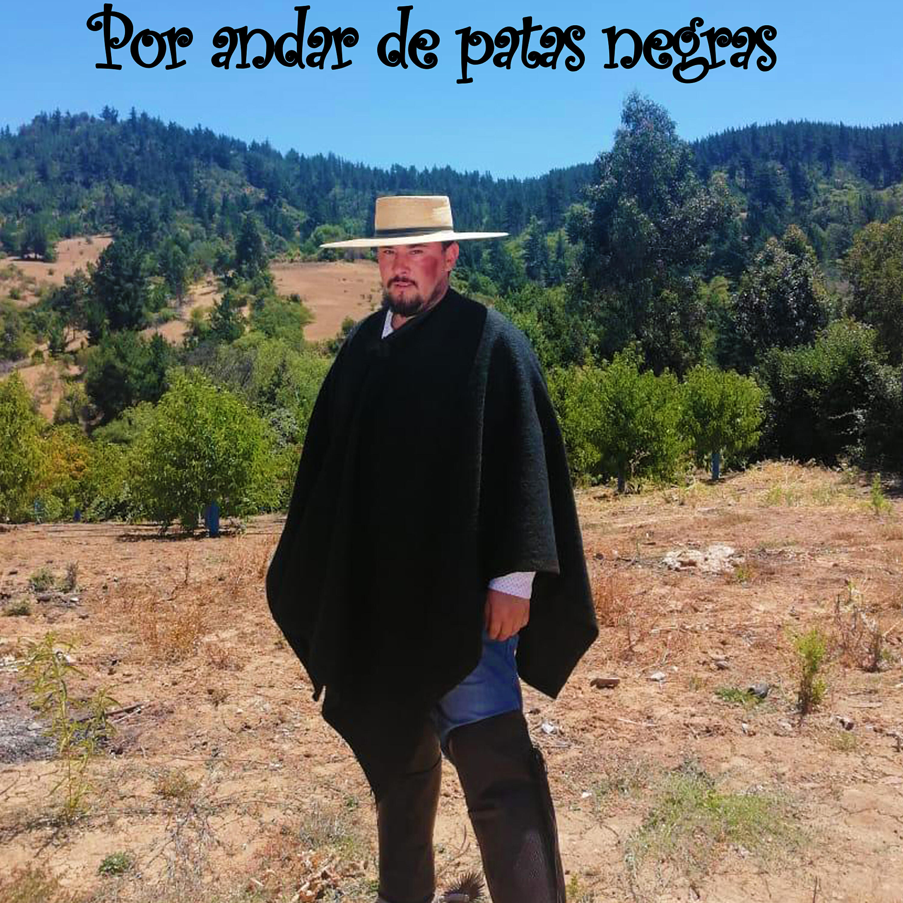 Релиз Por Andar de Patas Negras