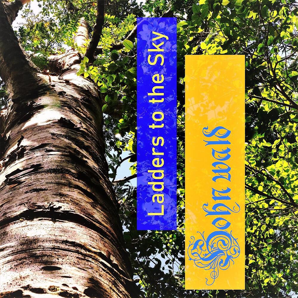 Релиз Ladders to the Sky