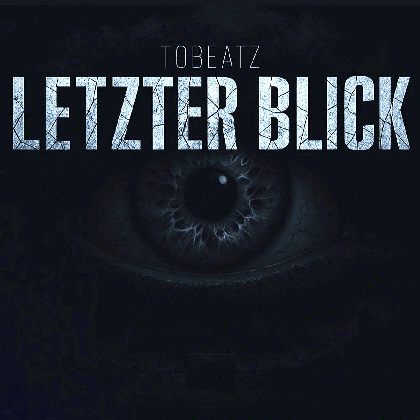 Релиз Letzter Blick