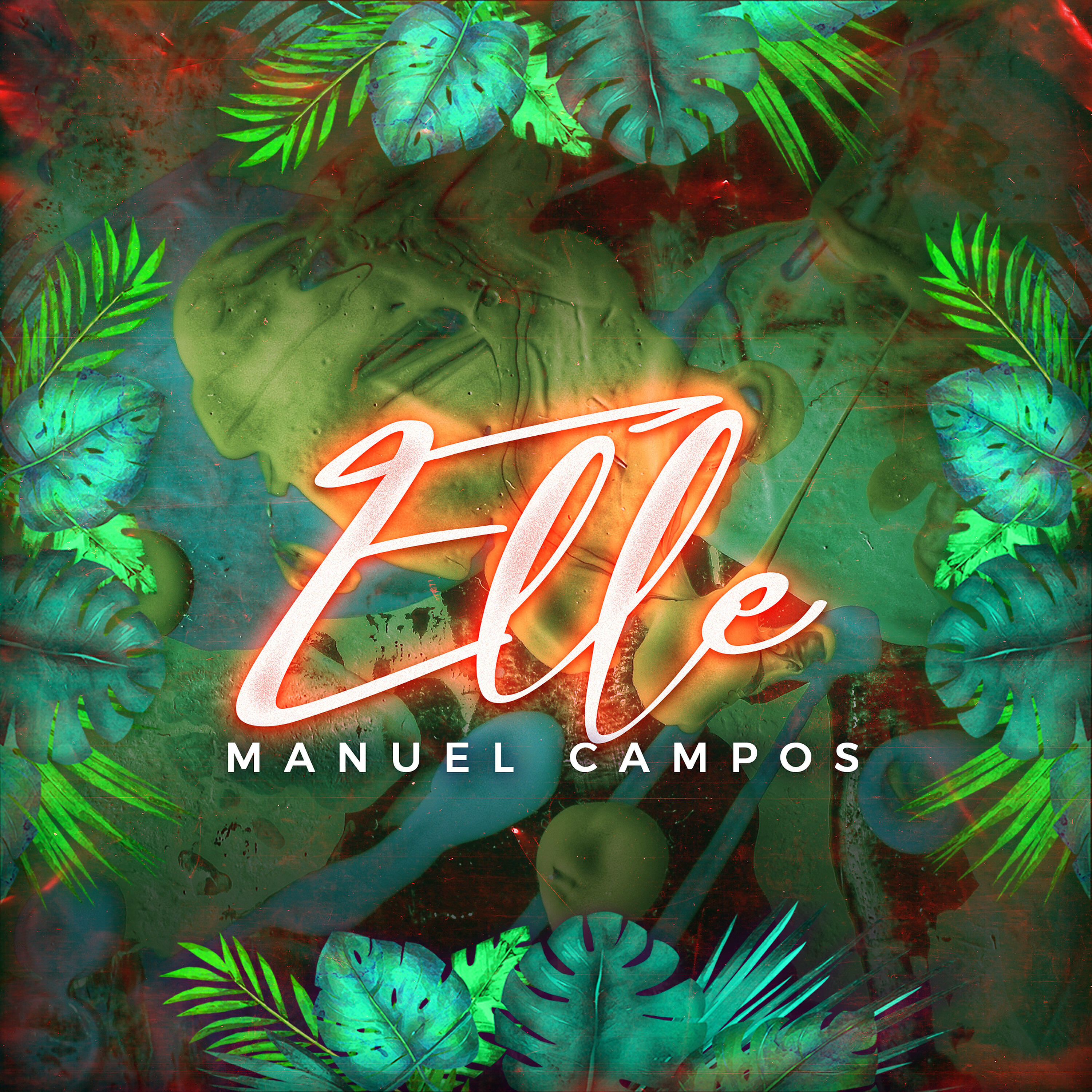 Релиз Elle