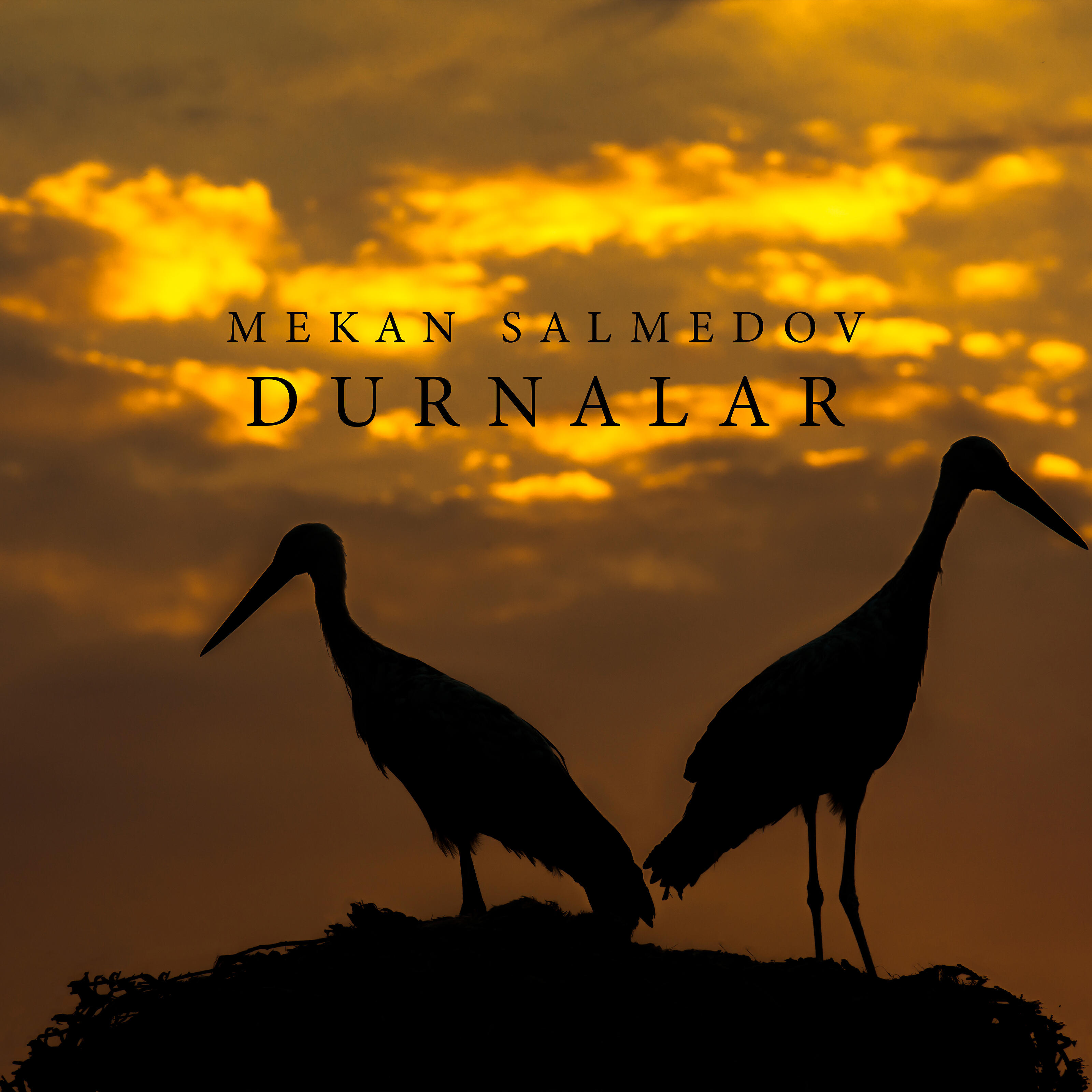 Релиз Durnalar