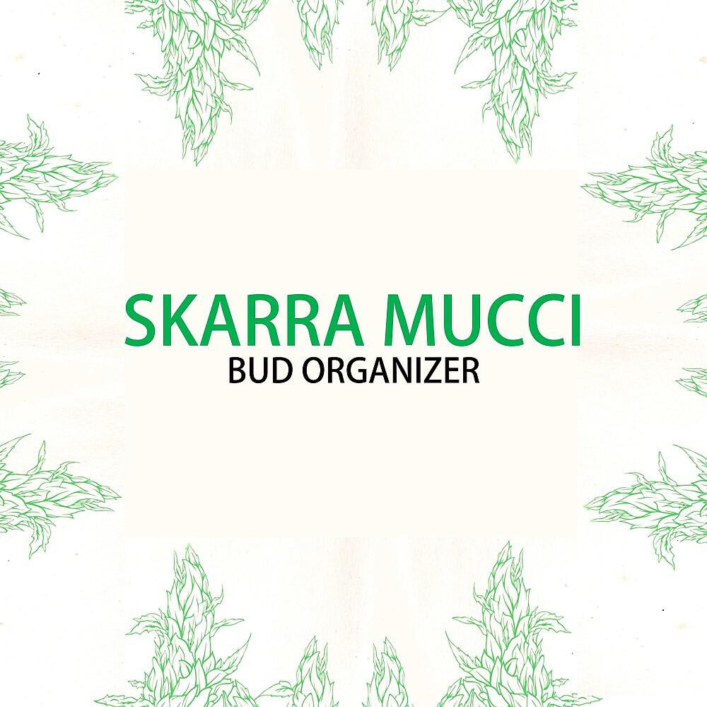 Скачать песню Skarra Mucci - Bud Organizer бесплатно в MP3 для Android и iOS