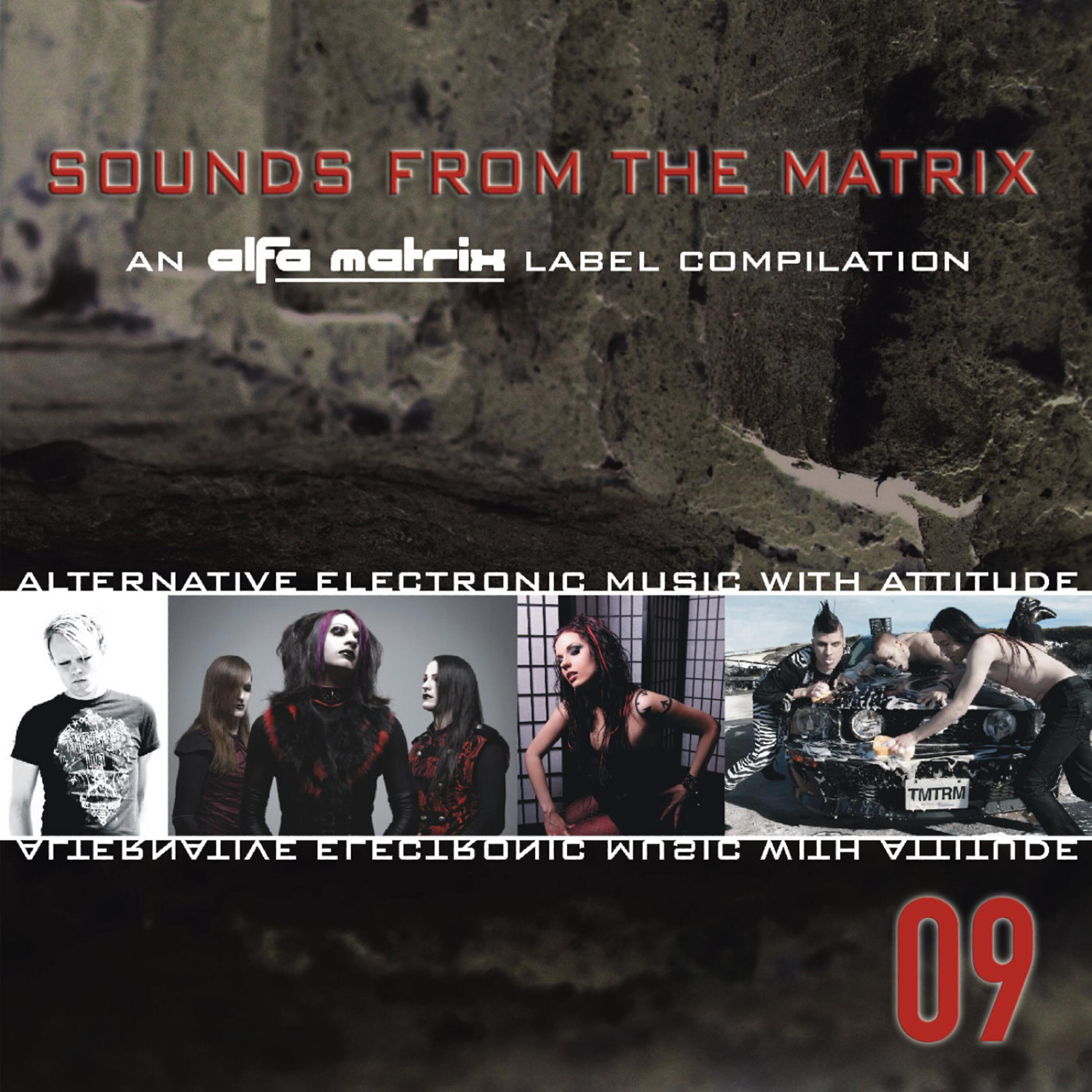Релиз Sounds from the Matrix 009