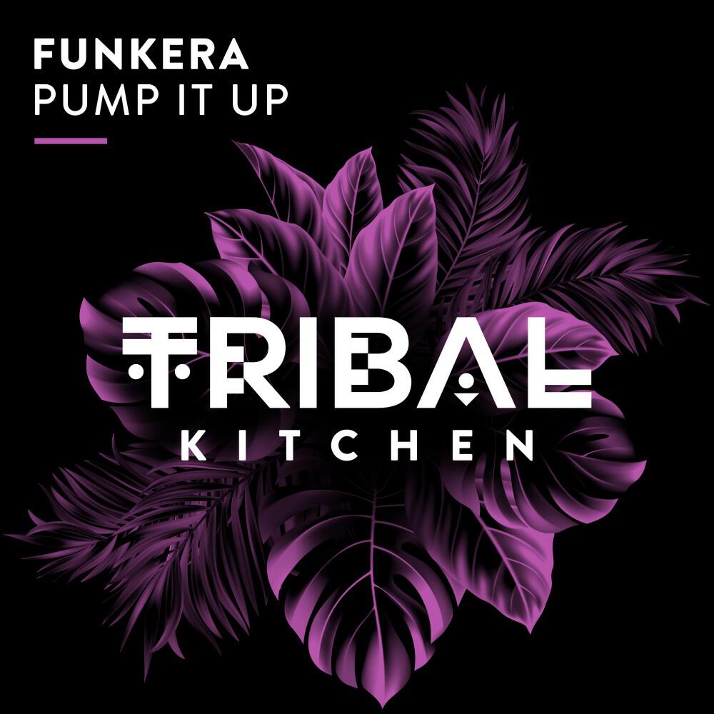 Релиз Pump It Up