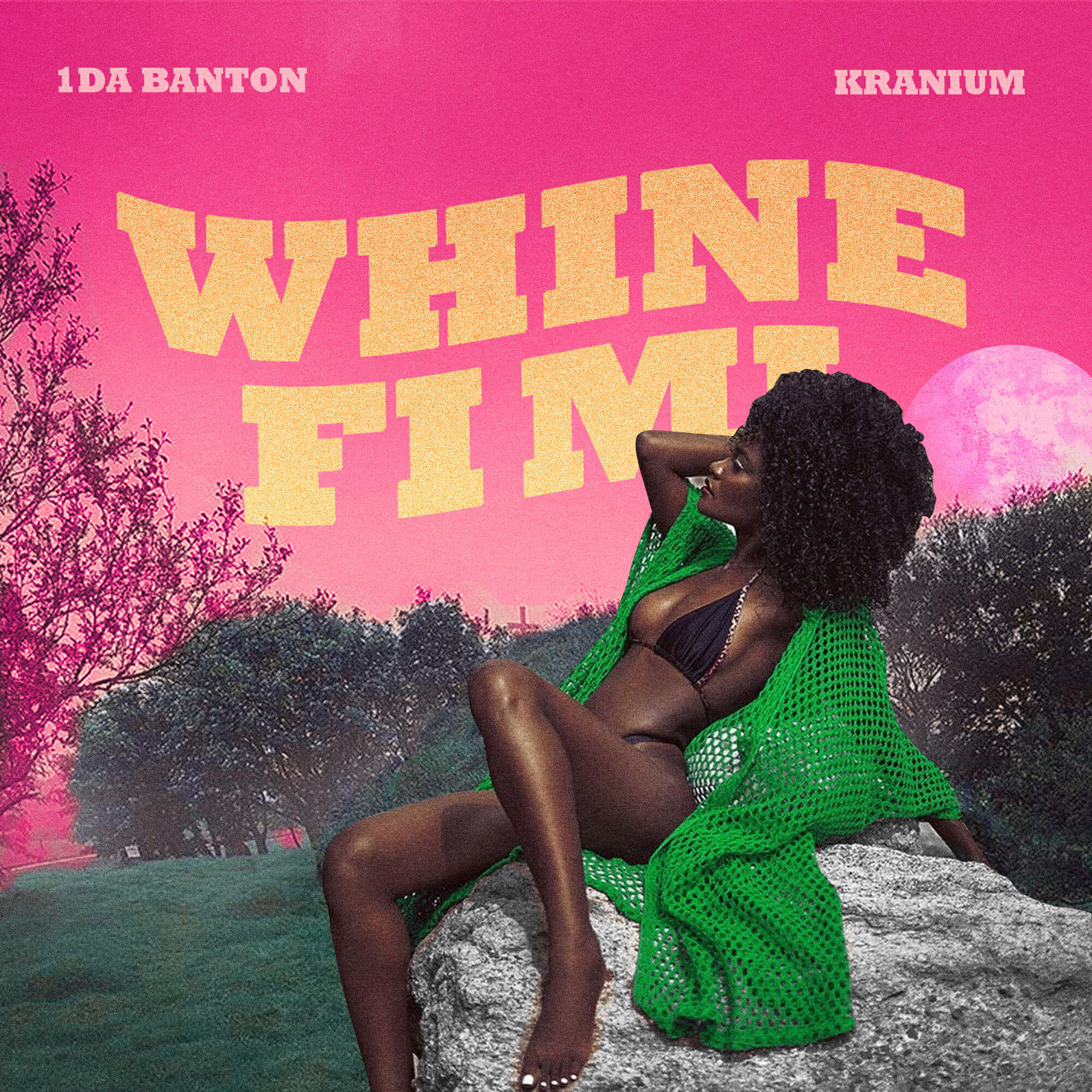 Релиз Whine Fi Mi