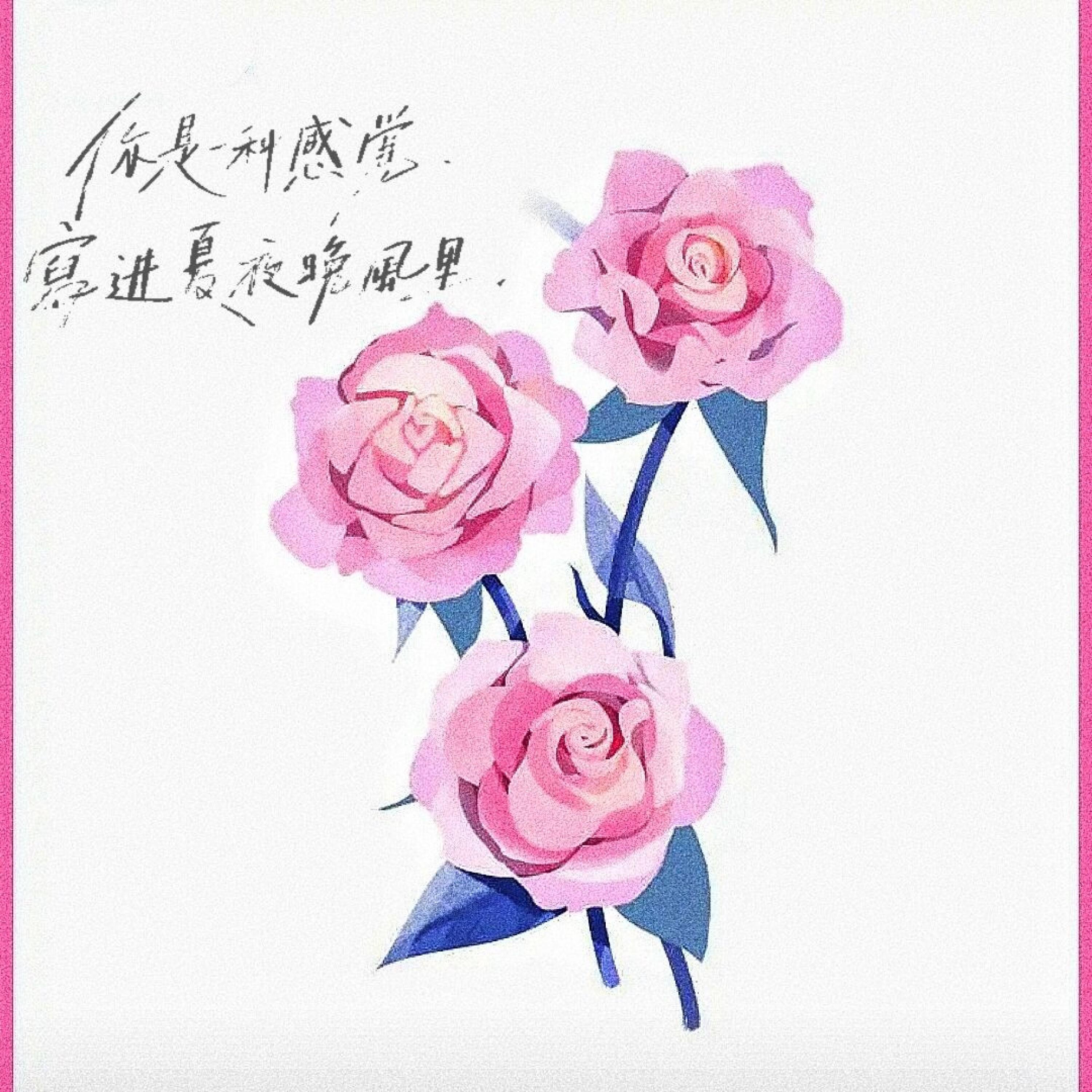 Релиз 没她浪漫