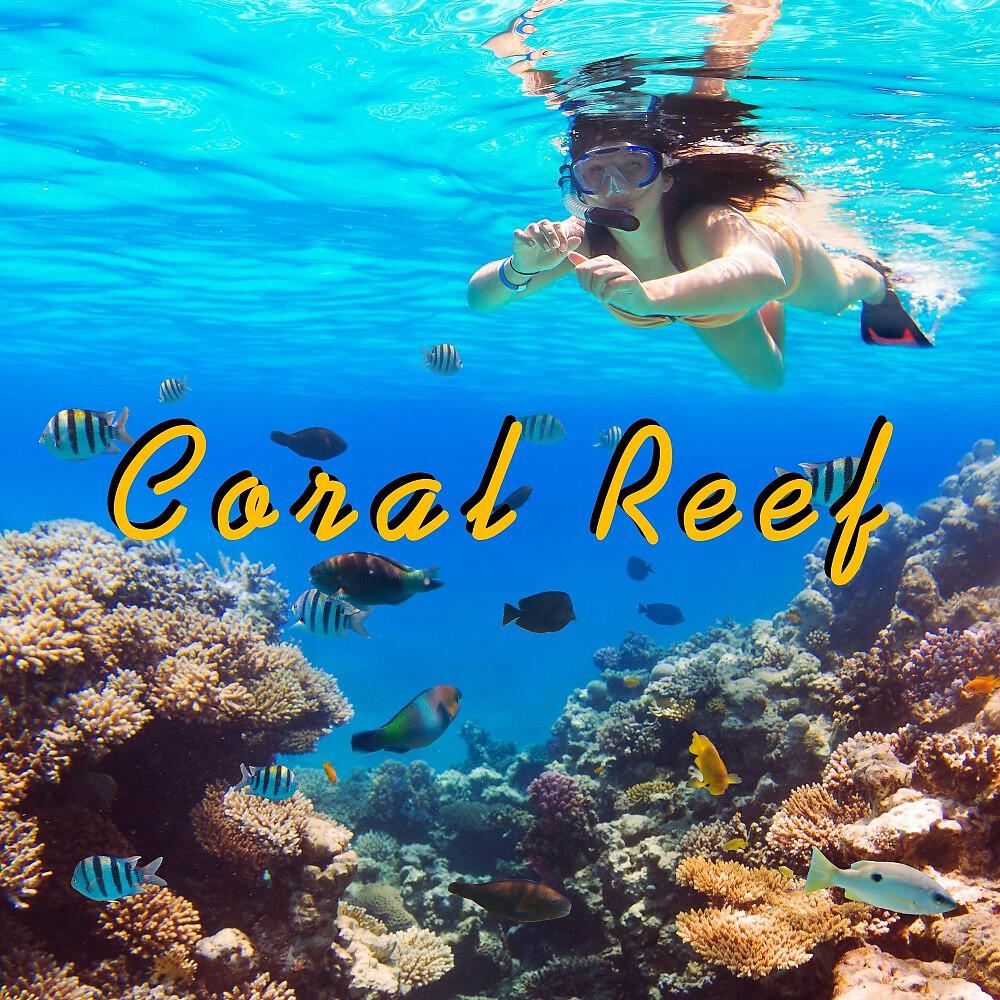 Релиз Coral Reef