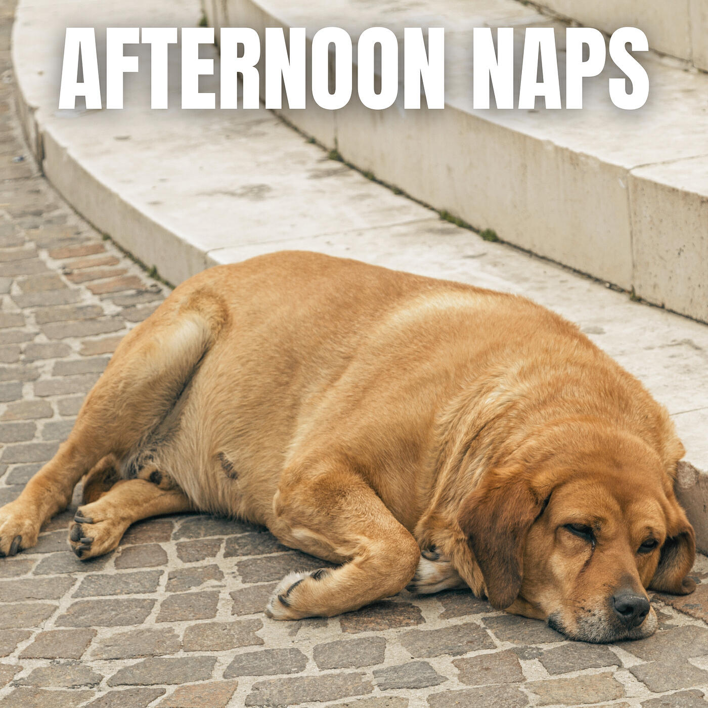 Релиз Afternoon Naps