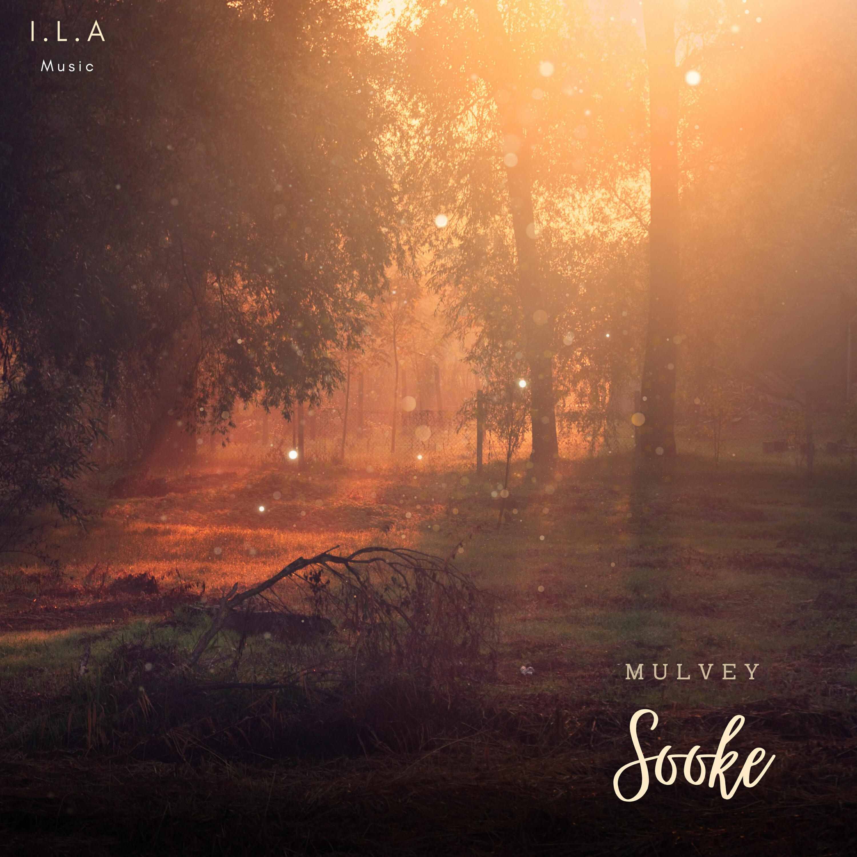 Релиз Sooke