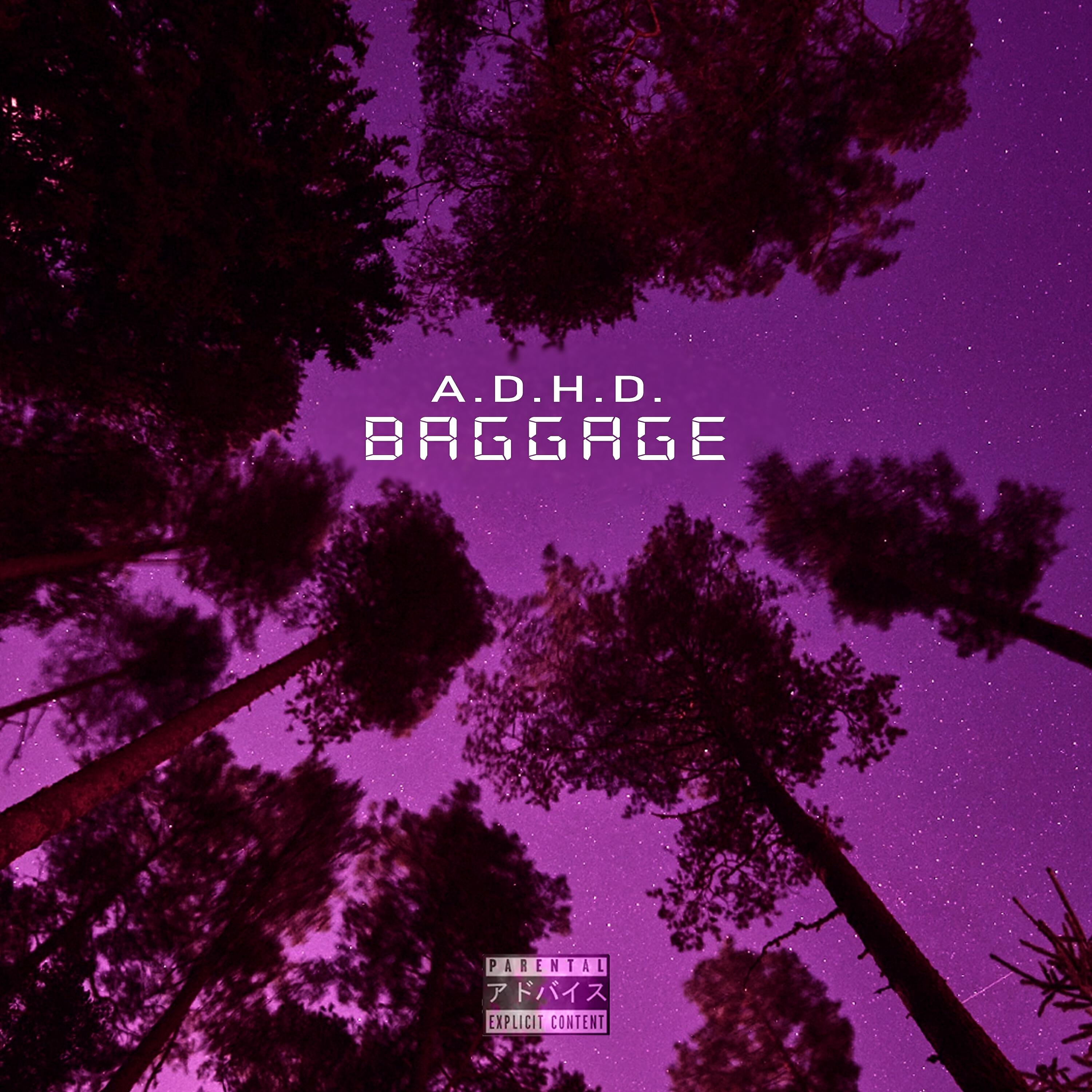 Релиз Baggage