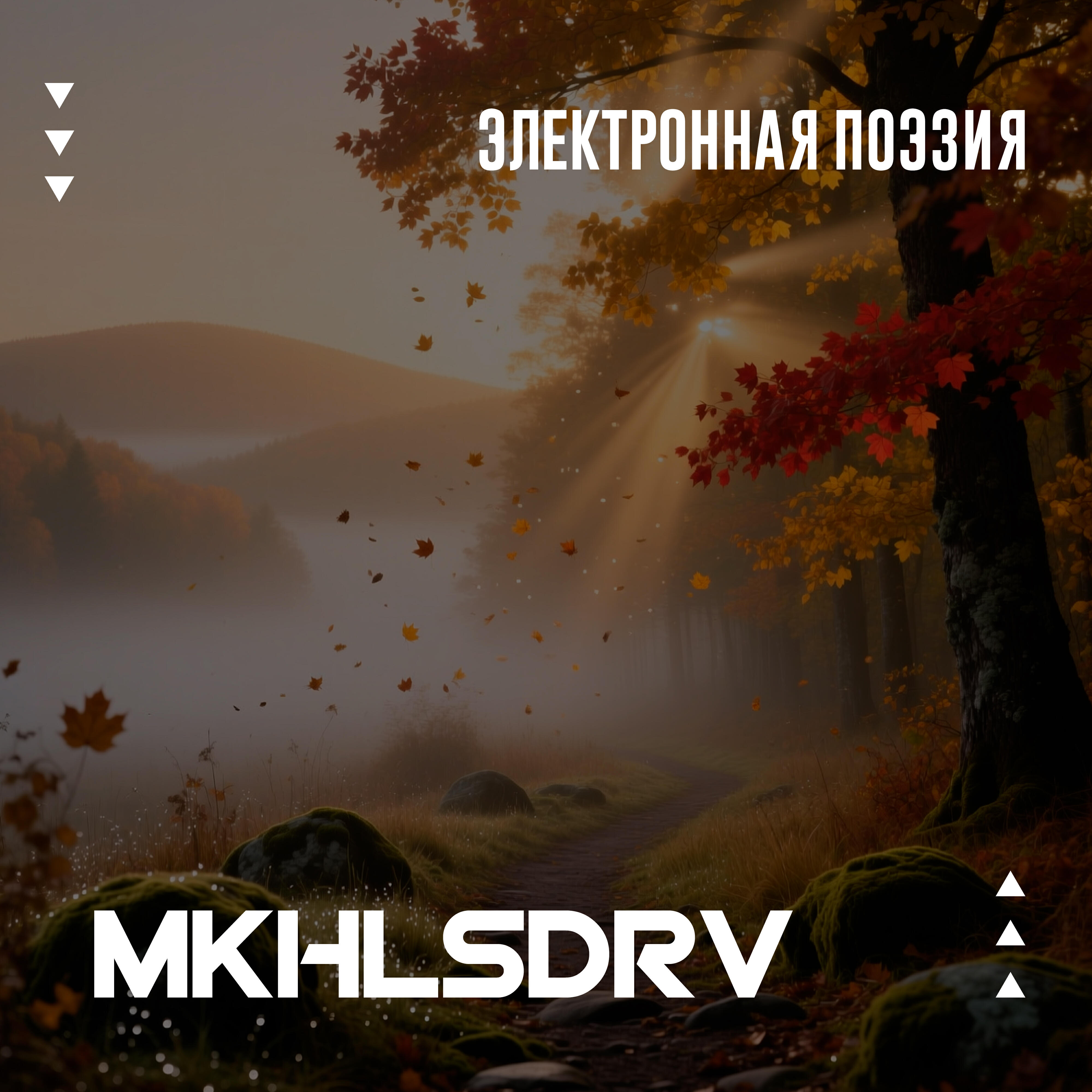 Релиз Электронная поэзия
