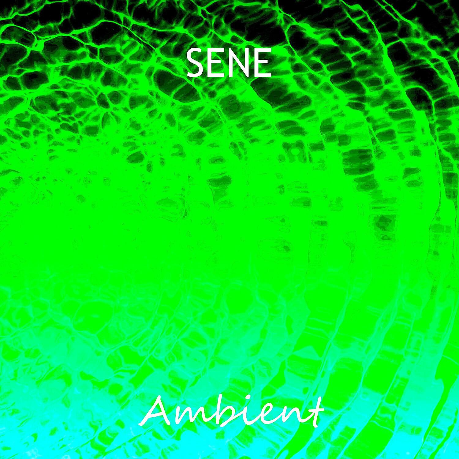 Sene, Jiddu Krishnamurti - Event of Silence