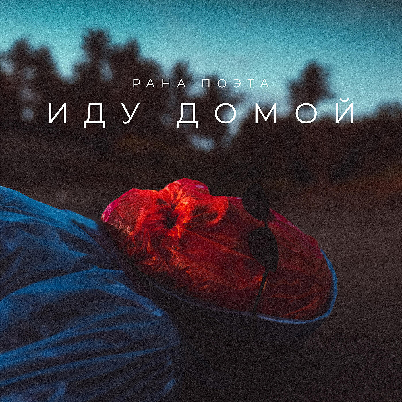Релиз Иду домой