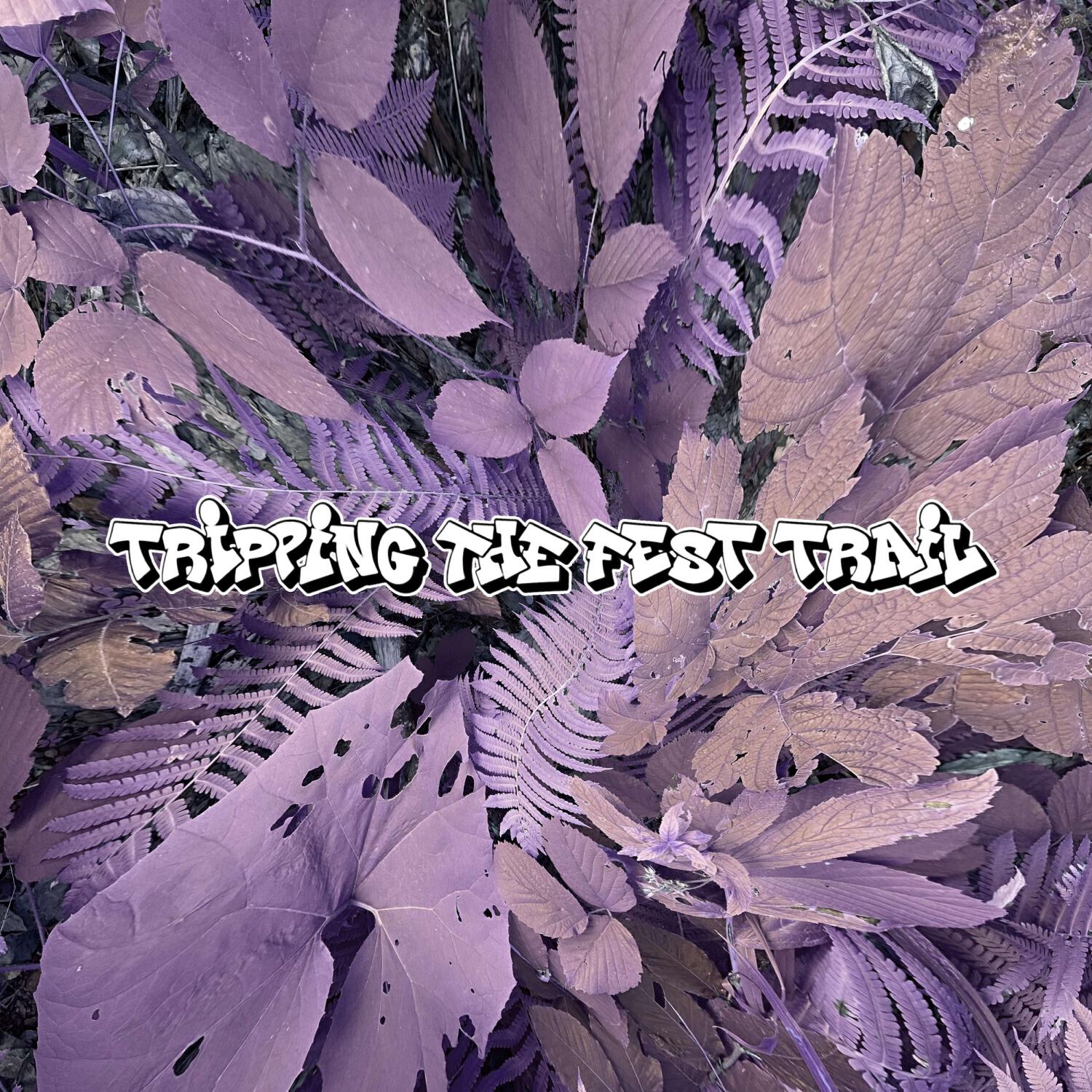 Релиз Tripping the Fest Trail