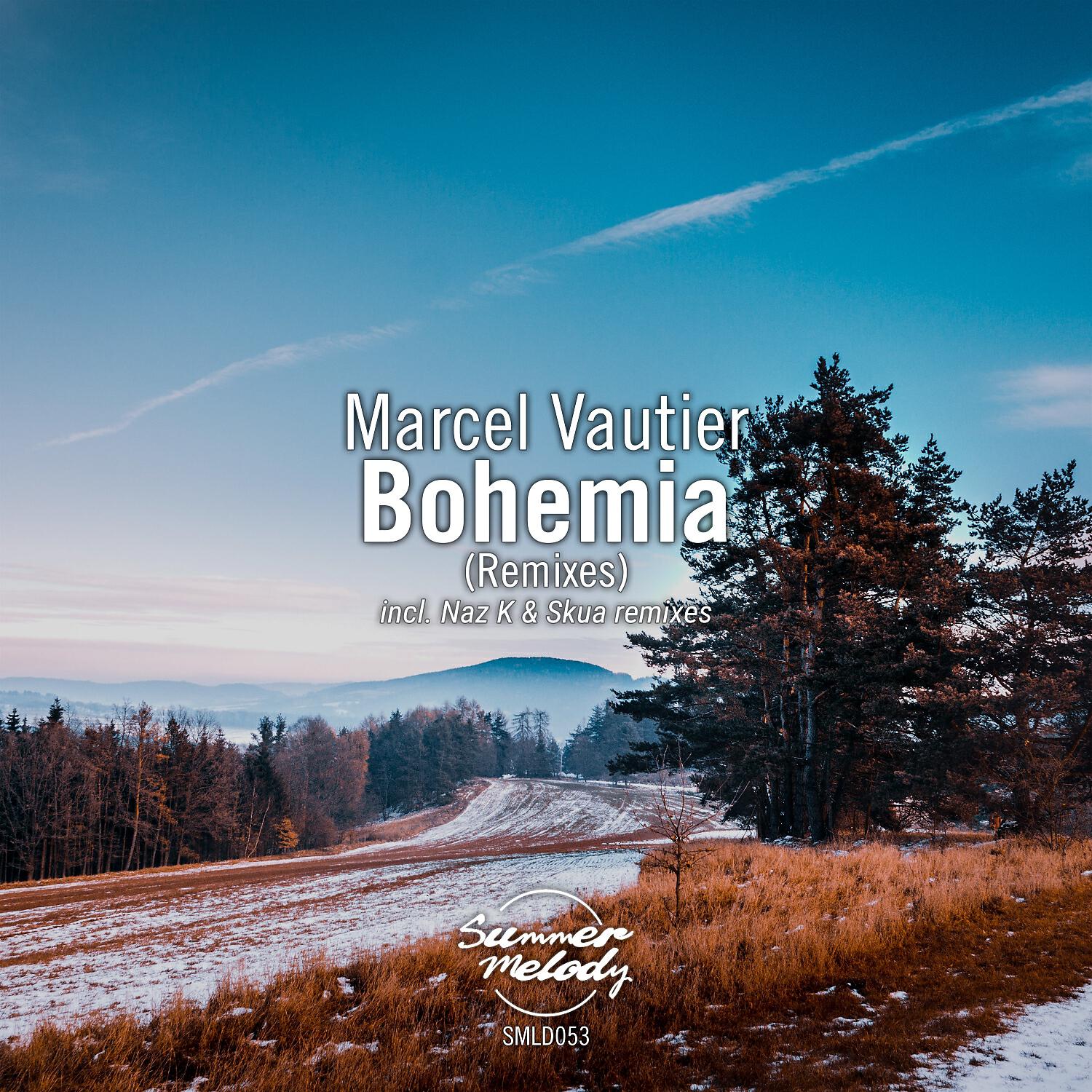 Релиз Bohemia - Remixes