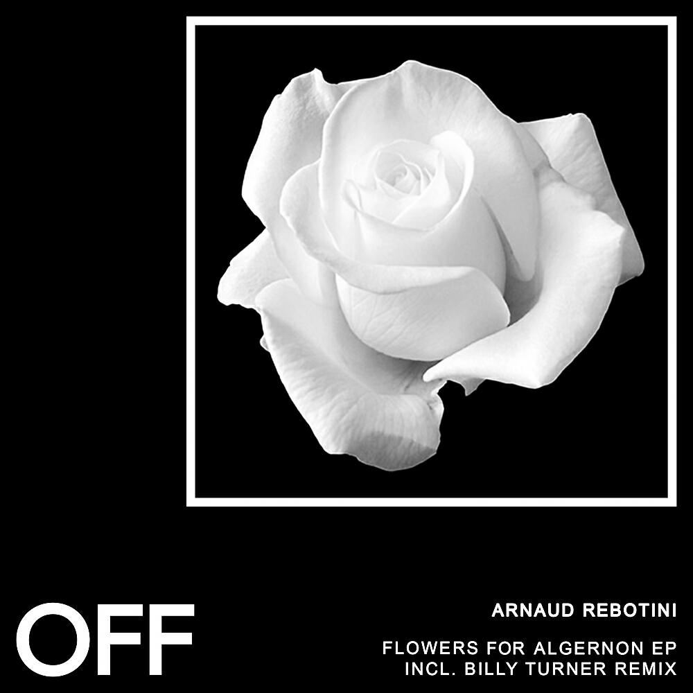 Релиз Flowers For Algernon