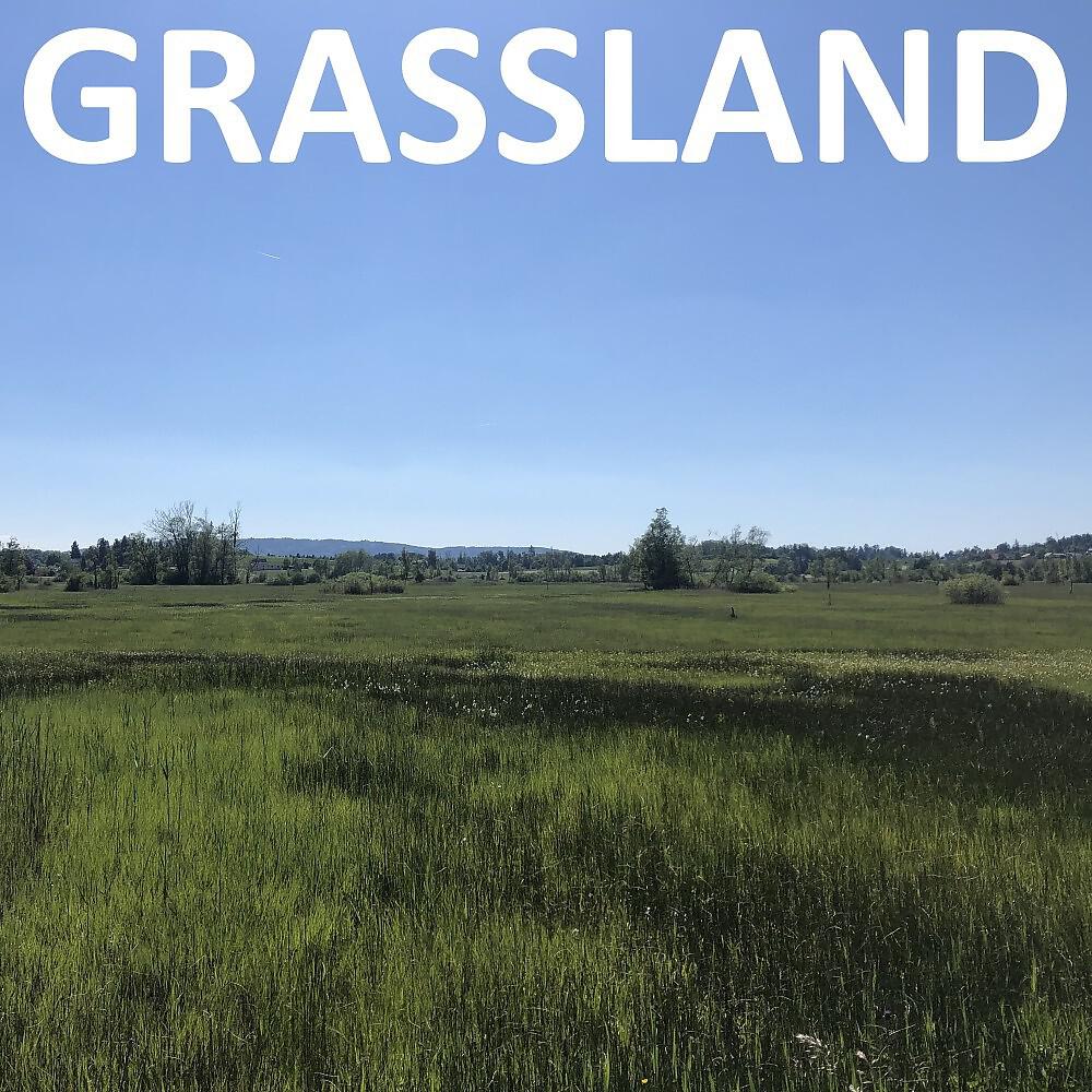 Релиз Grassland