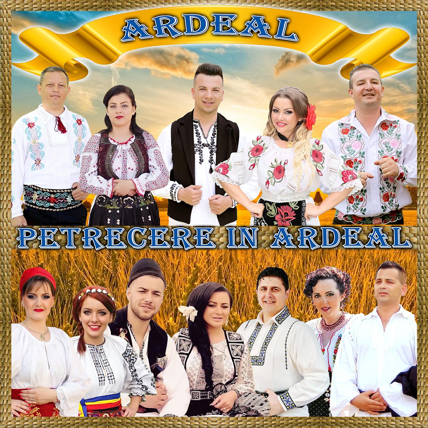 Релиз Petrecere In Ardeal