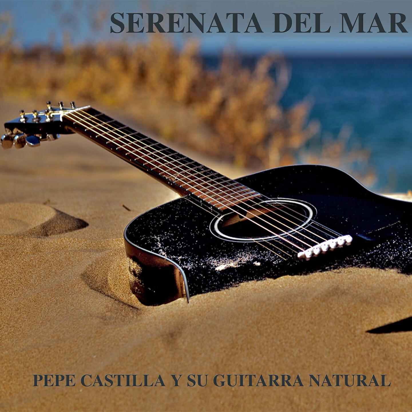 Pepe Castilla y su Guitarra Natural