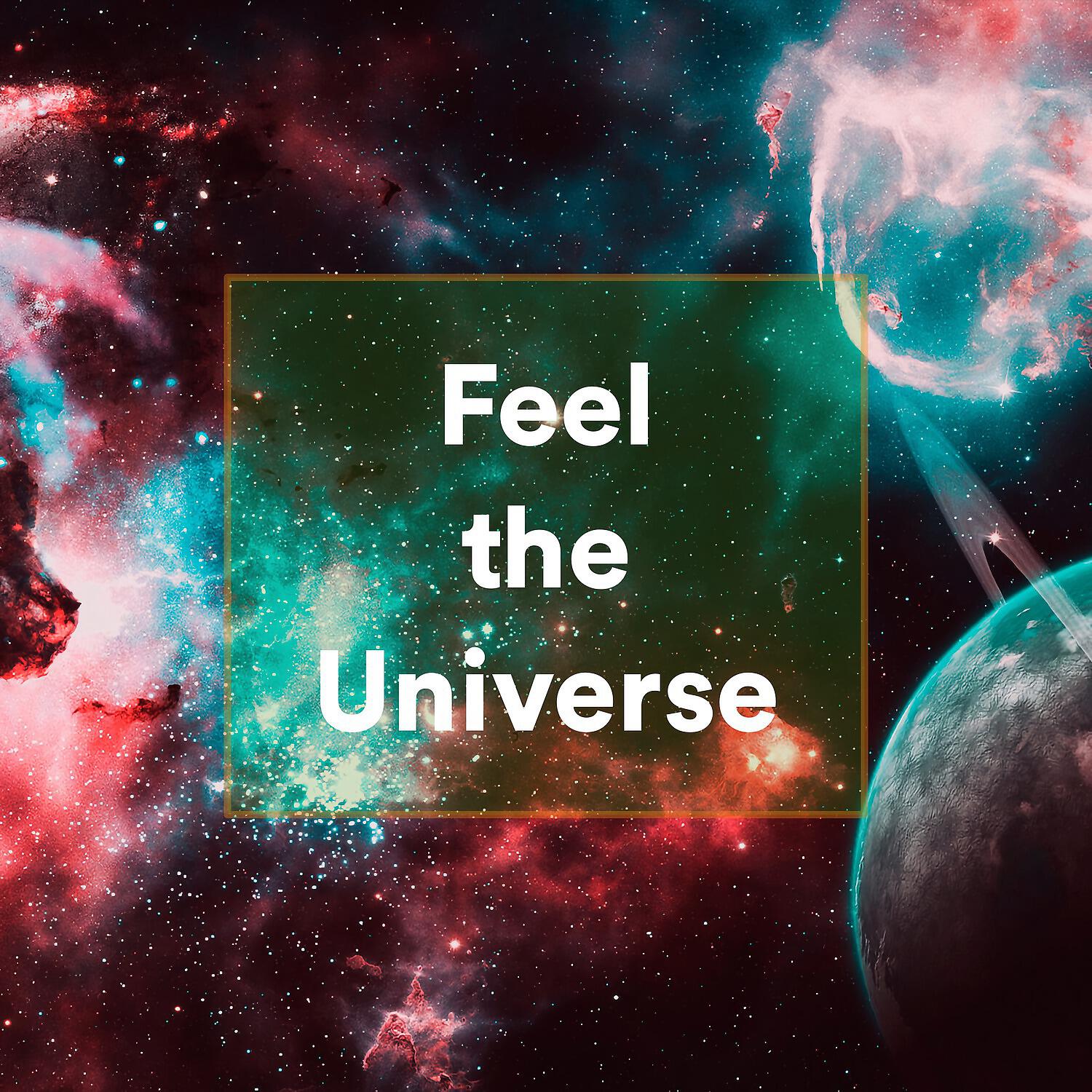 Постер альбома Feel the Universe