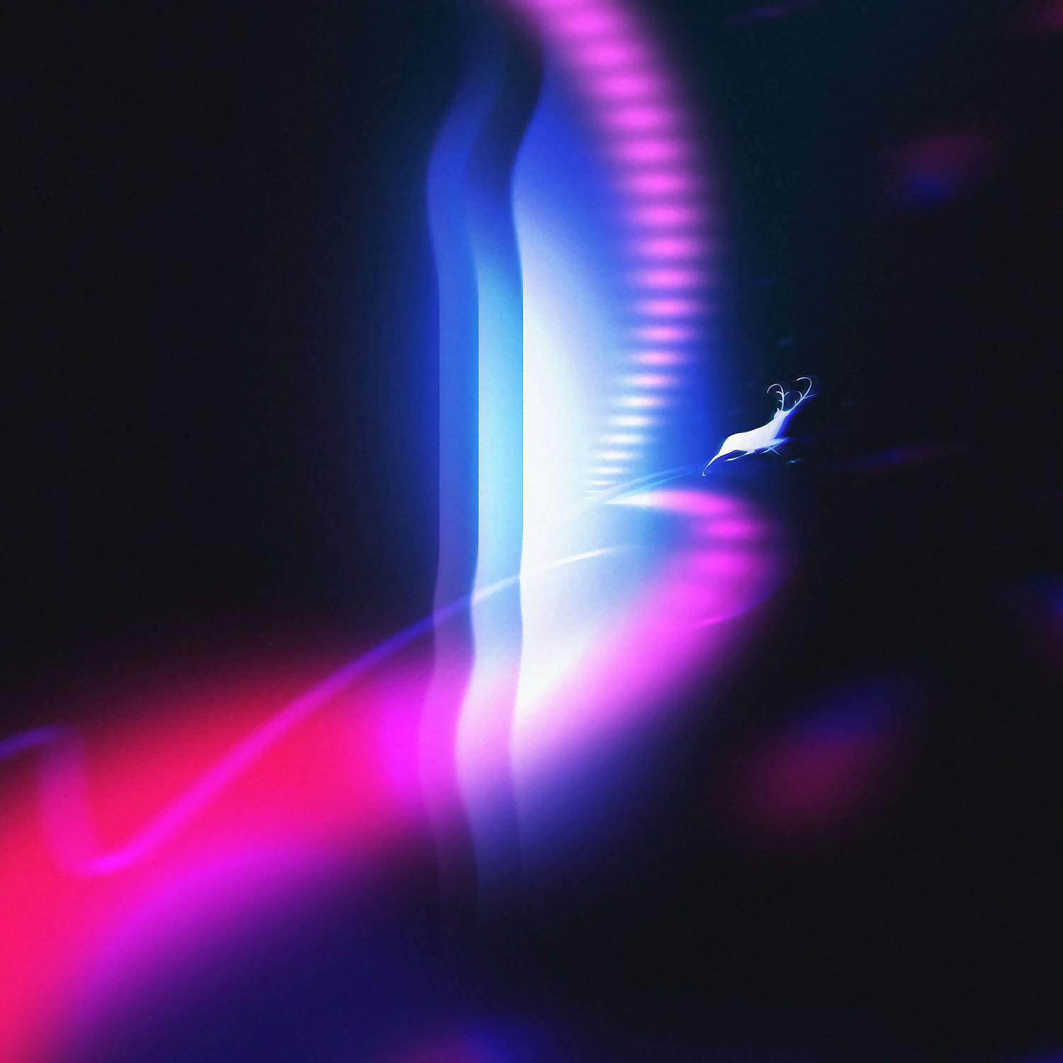 Скачать песню MRXWAVE, Kitty Kat - KILLA KILLA PHONK бесплатно в MP3 для Android и iOS