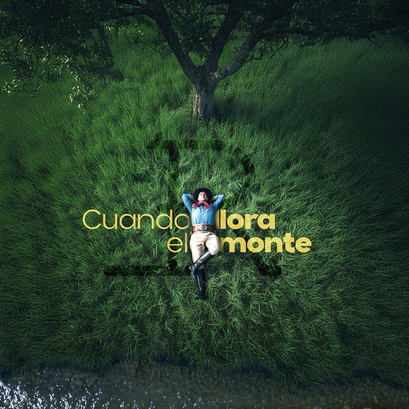 Los Renuevos