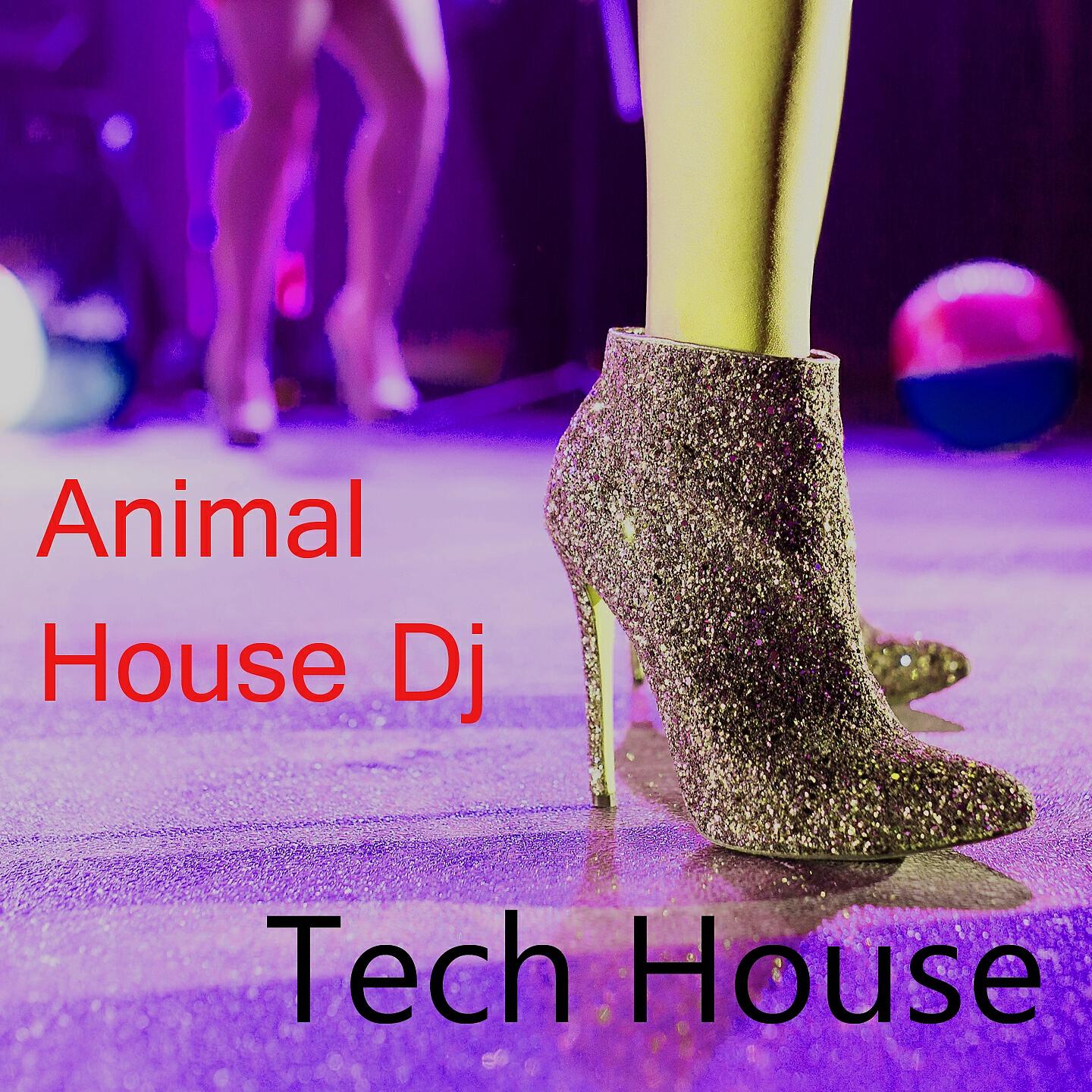 Релиз Tech House