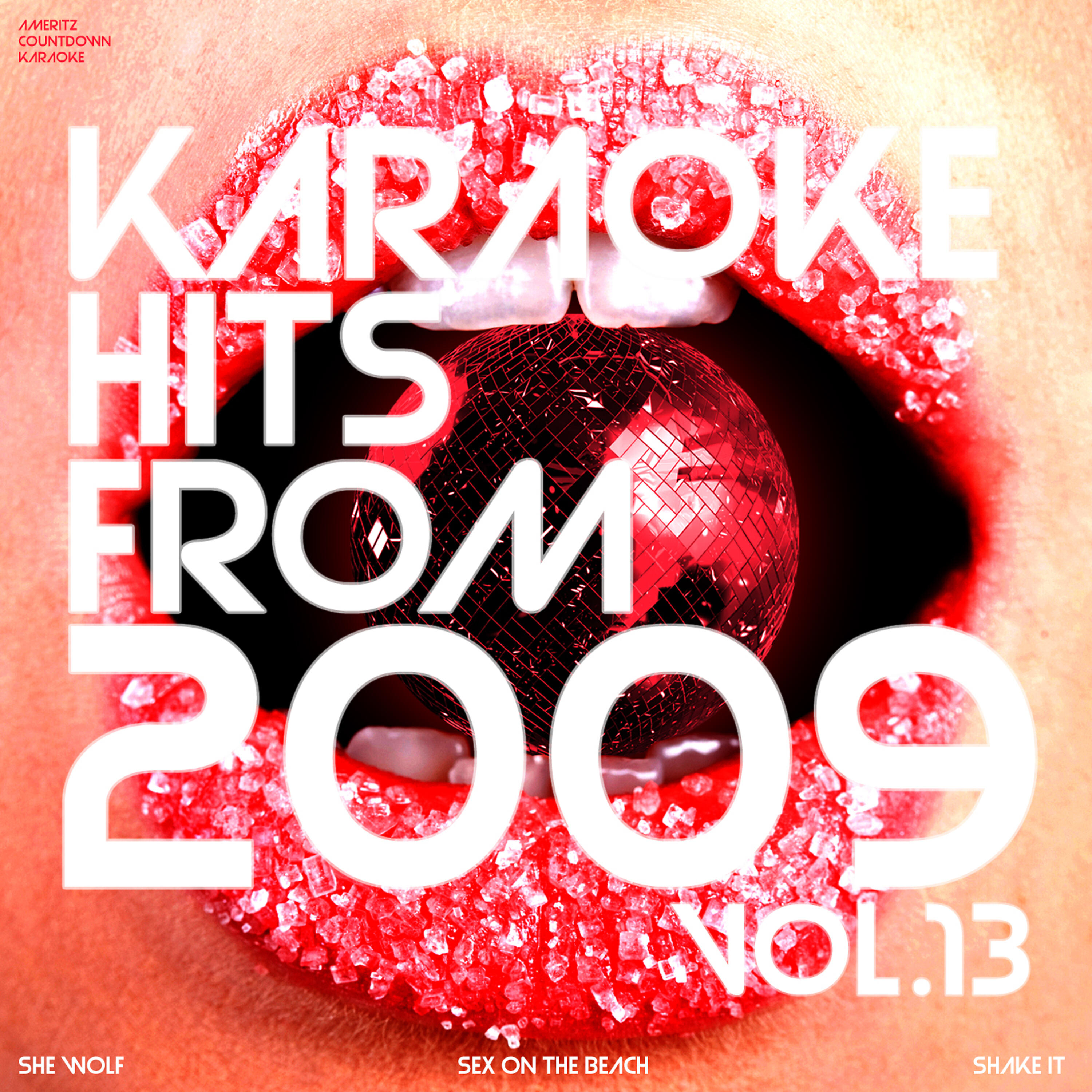 Релиз Karaoke Hits from 2009, Vol. 13