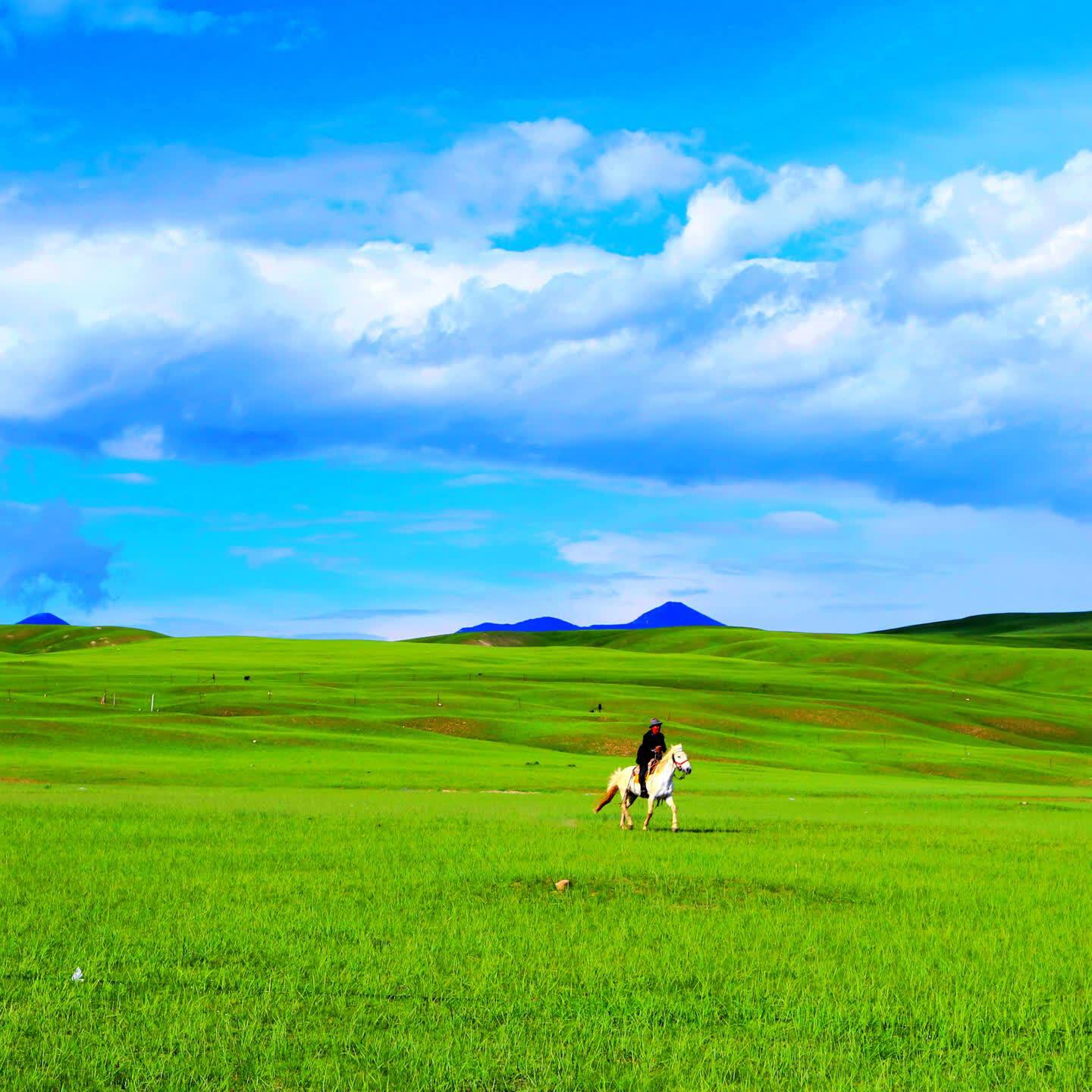 Релиз 青草河畔