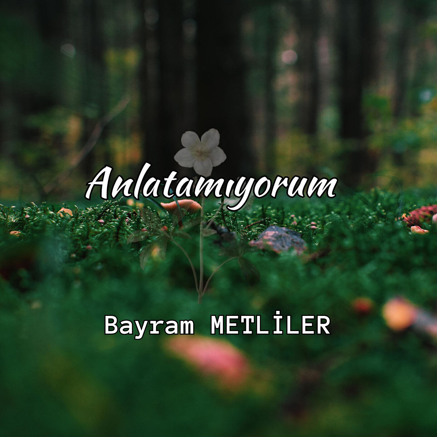 Постер альбома Anlatamıyorum