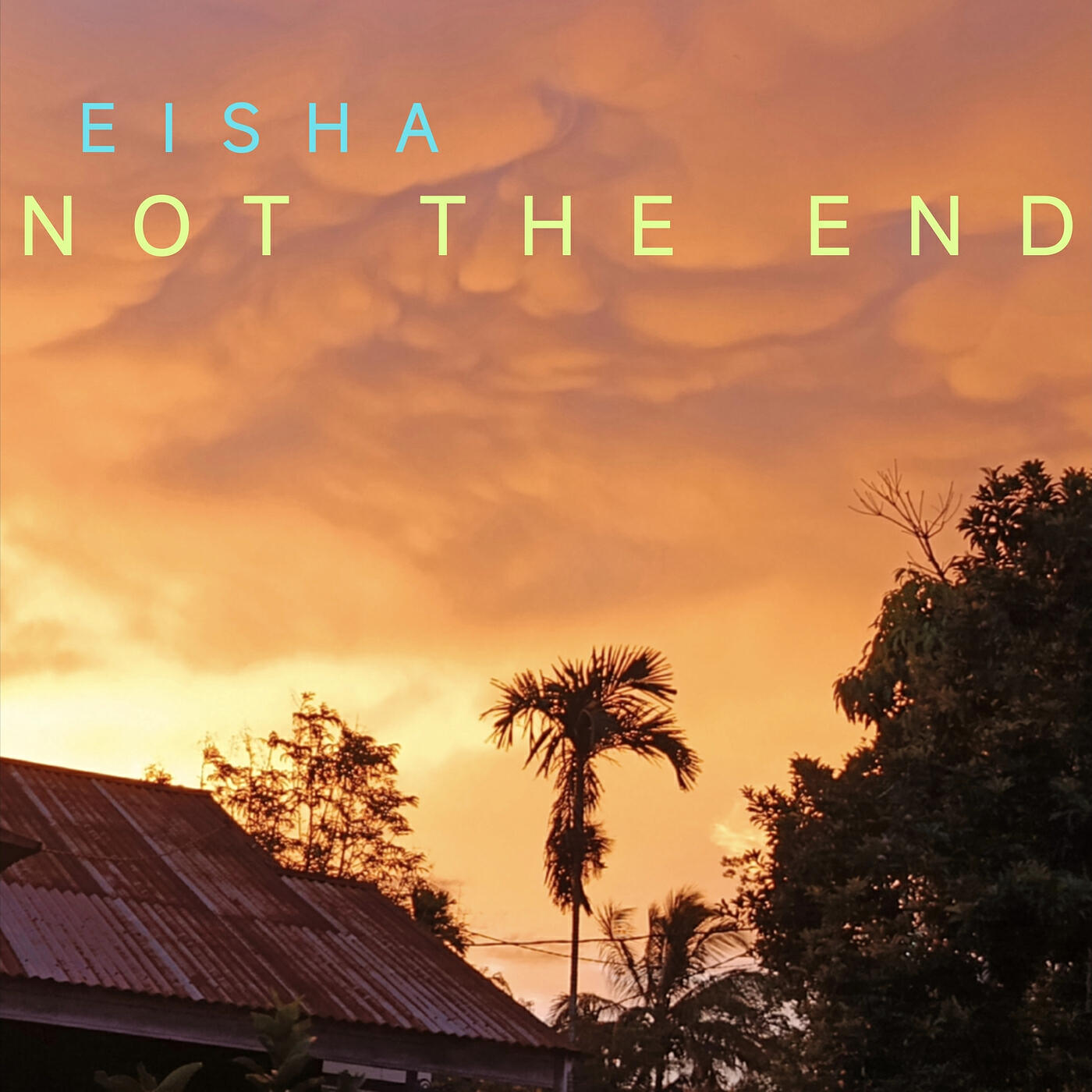 Релиз Not the End