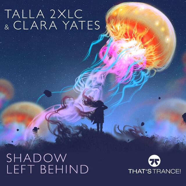 Релиз Shadow Left Behind
