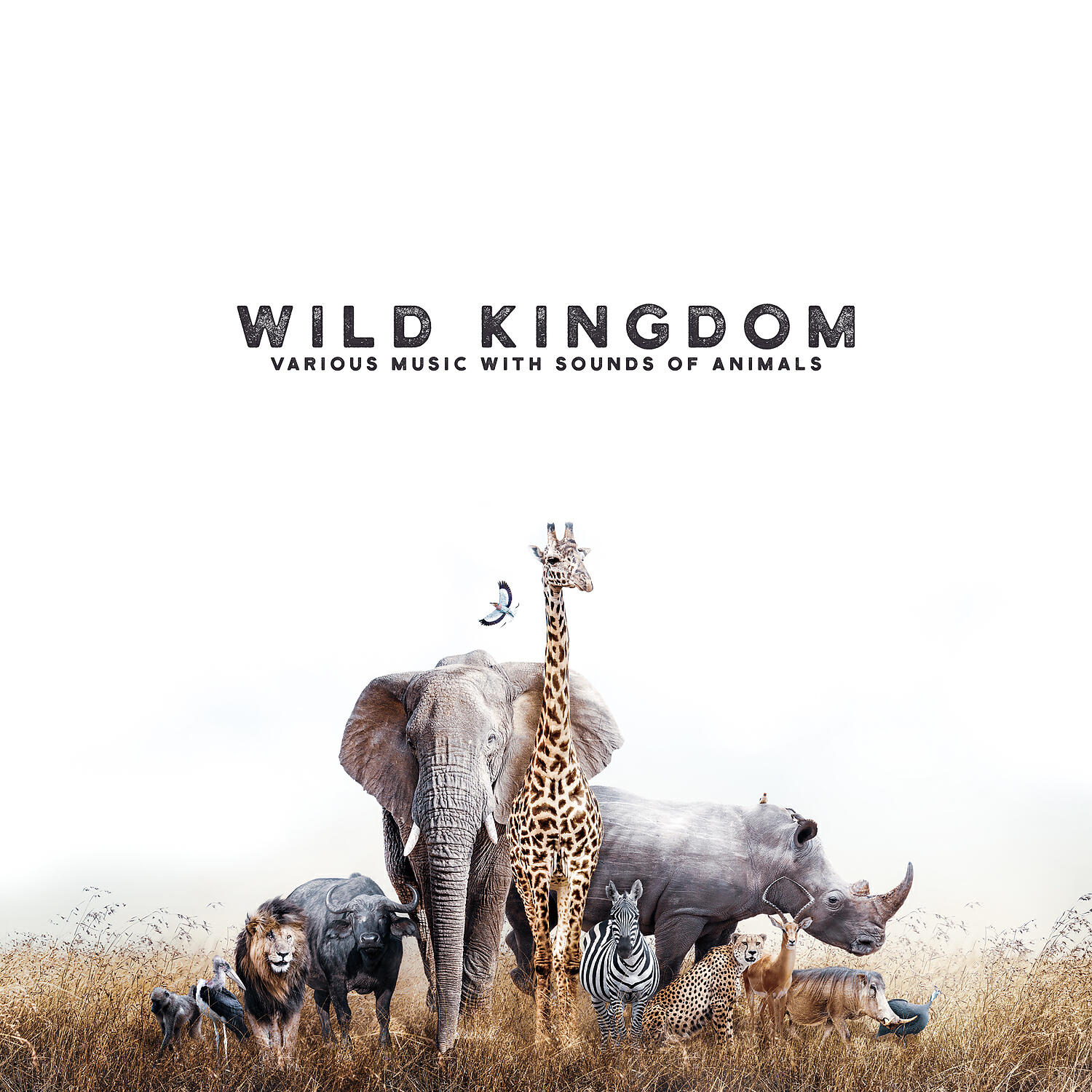 Релиз Wild Kingdom – Various Music with Sounds of Animals