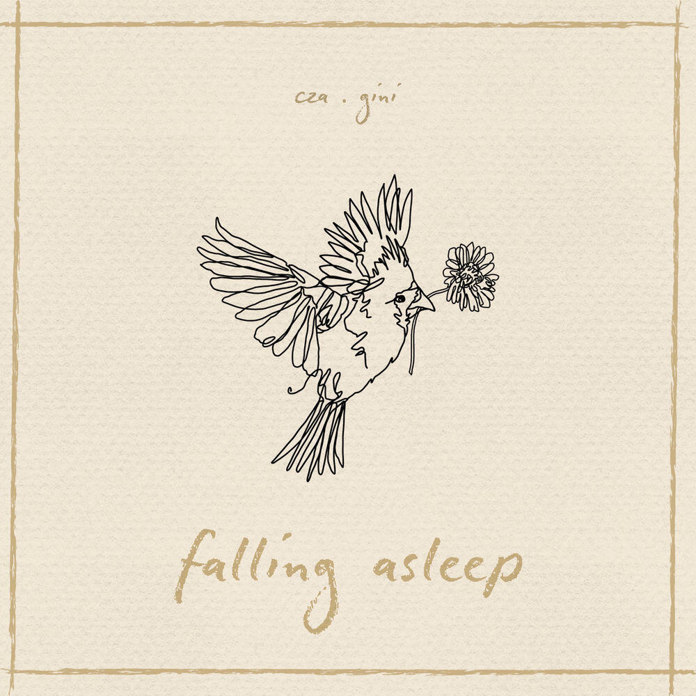 Релиз falling asleep