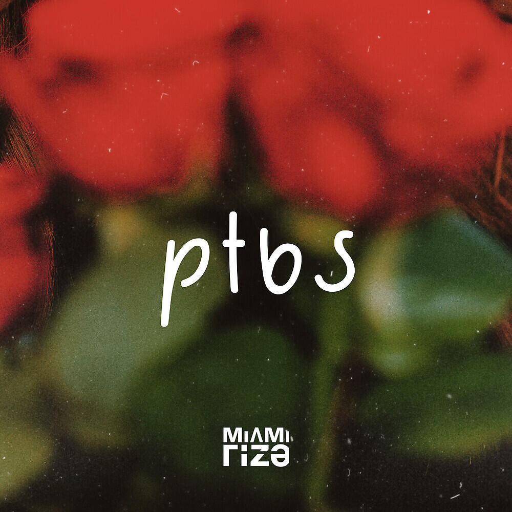 Релиз PTBS