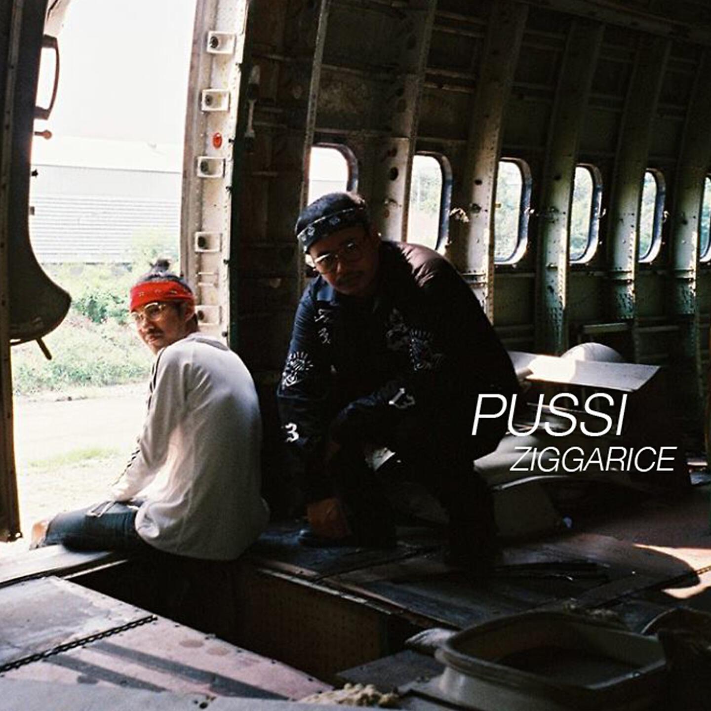 Релиз Pussi