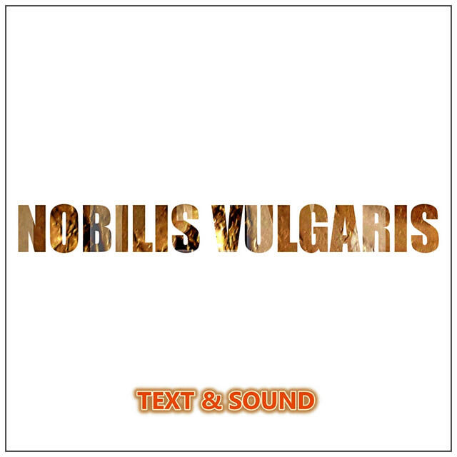 Nobilis Vulgaris