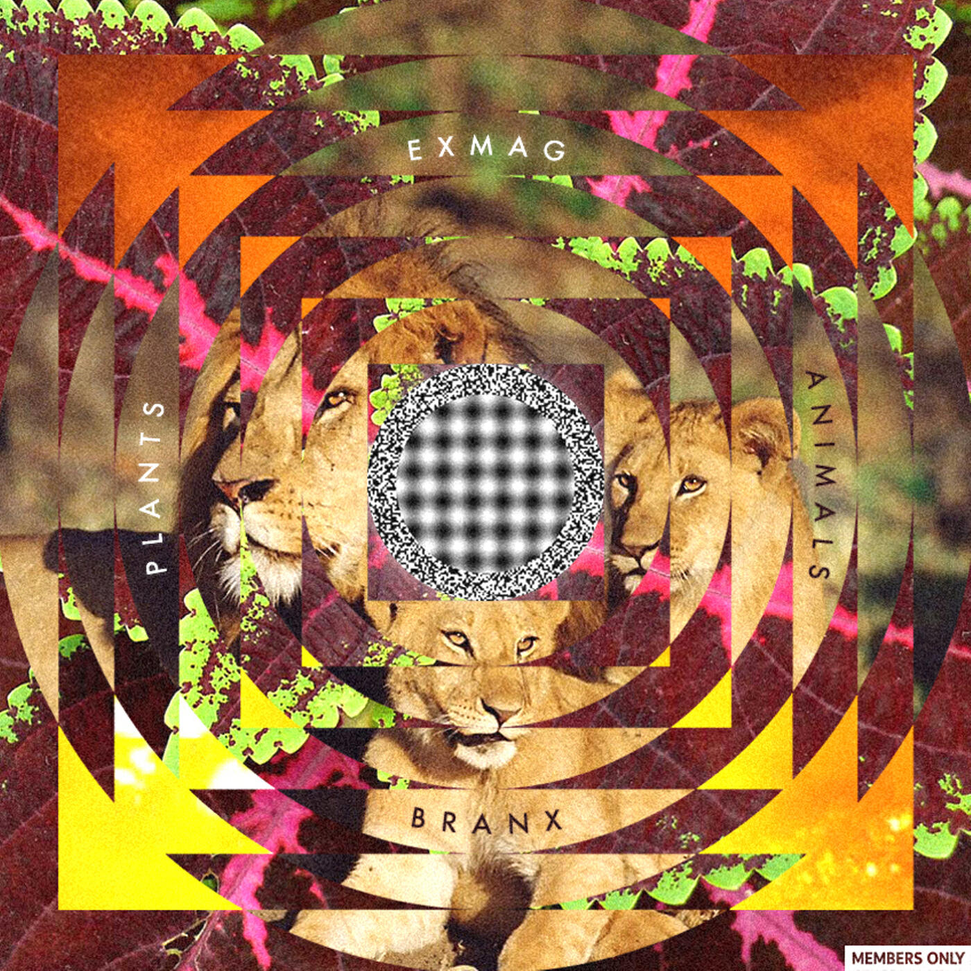 Релиз Plants and Animals