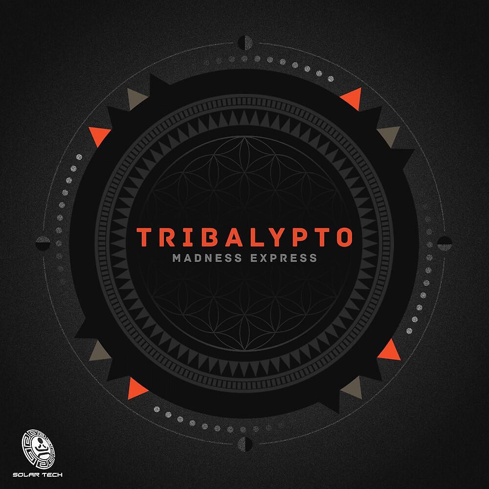 Релиз Tribalypto