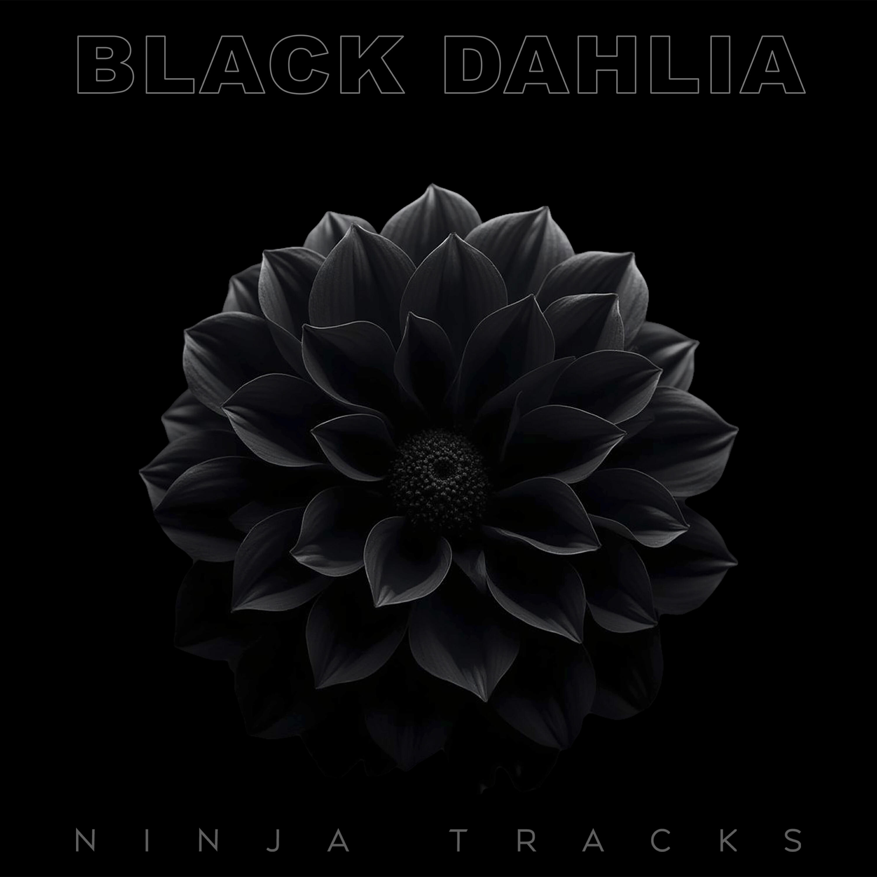 Релиз Black Dahlia