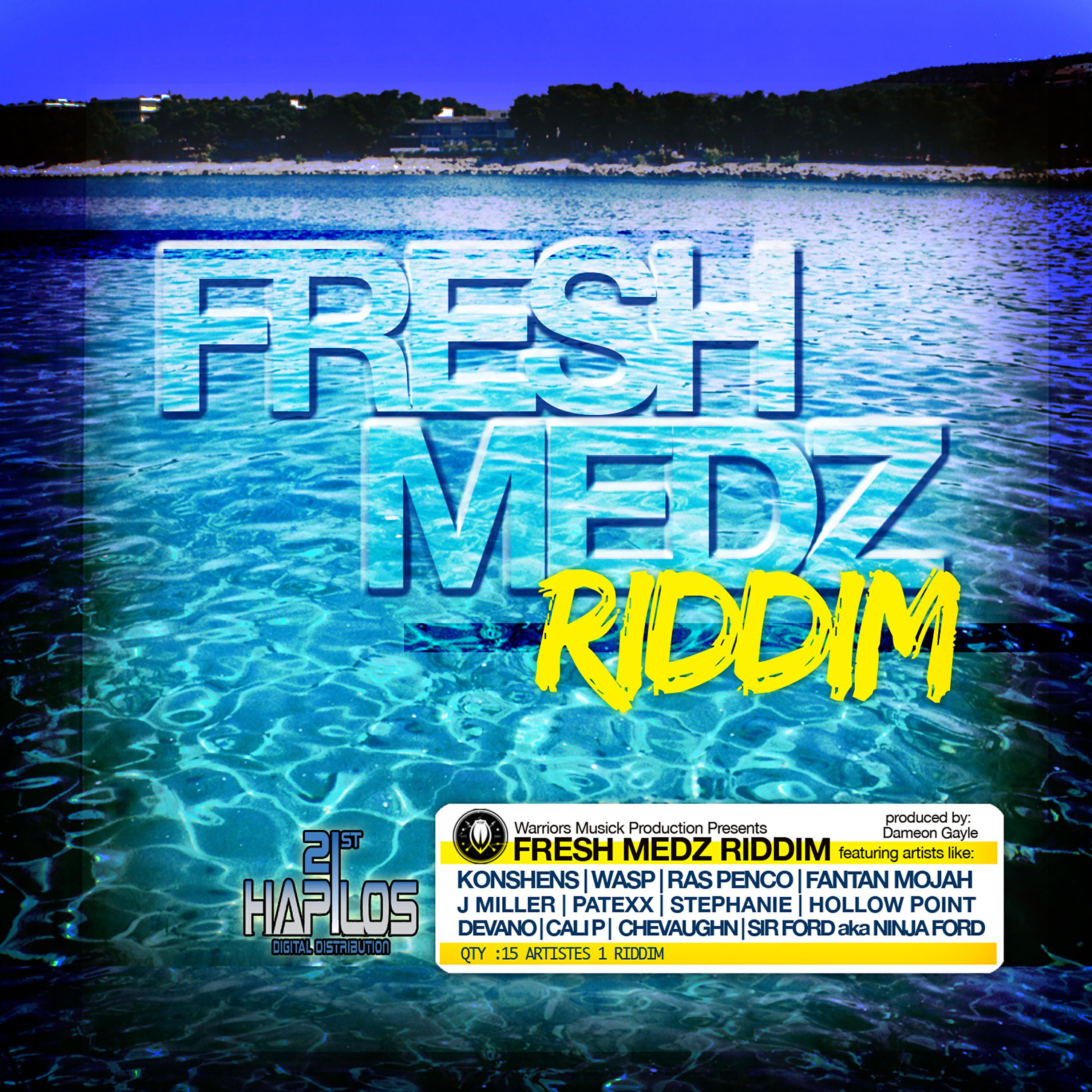 Релиз Fresh Medz Riddim