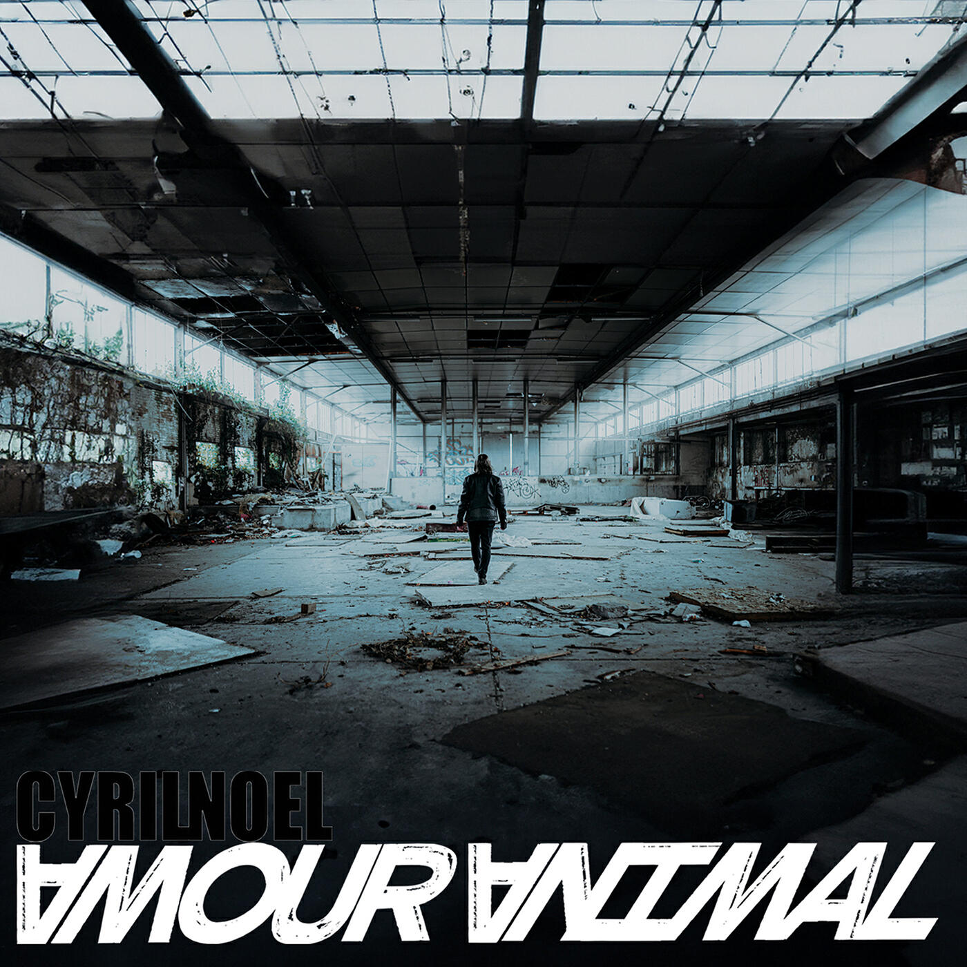 Cyril Noel