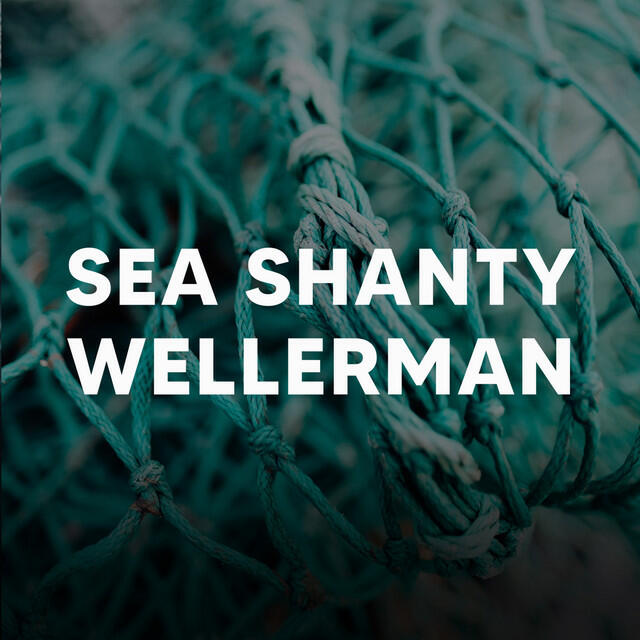 Релиз Sea Shanty Wellerman